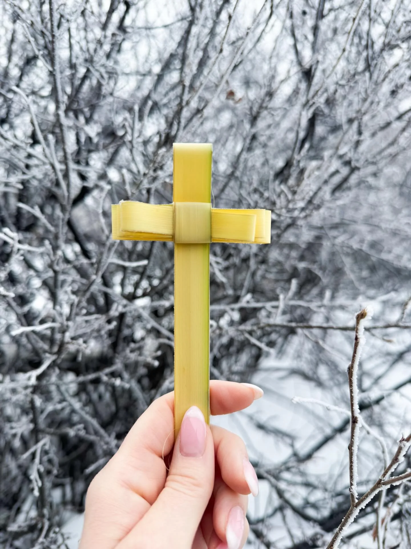 Palm Sunday 🌿 Beginning the journey of Holy Week at the Cathedral.

#PalmSunday #HolyWeek