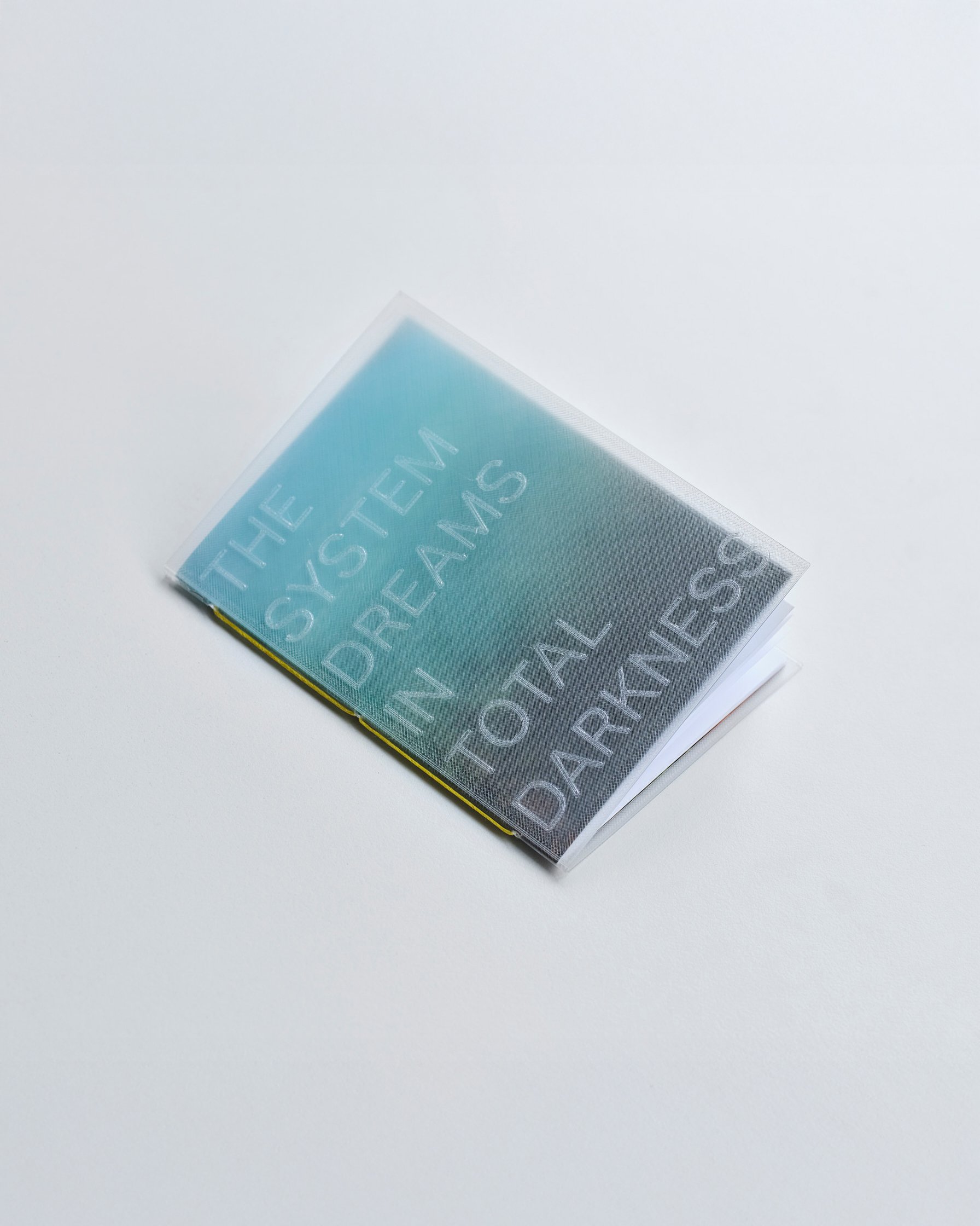 THE SYSTEM DREAMS Zine // 2024