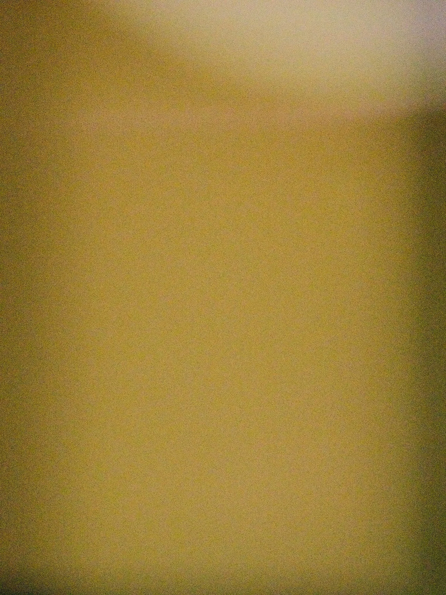 Eigenlicht_2026_A_034.jpg