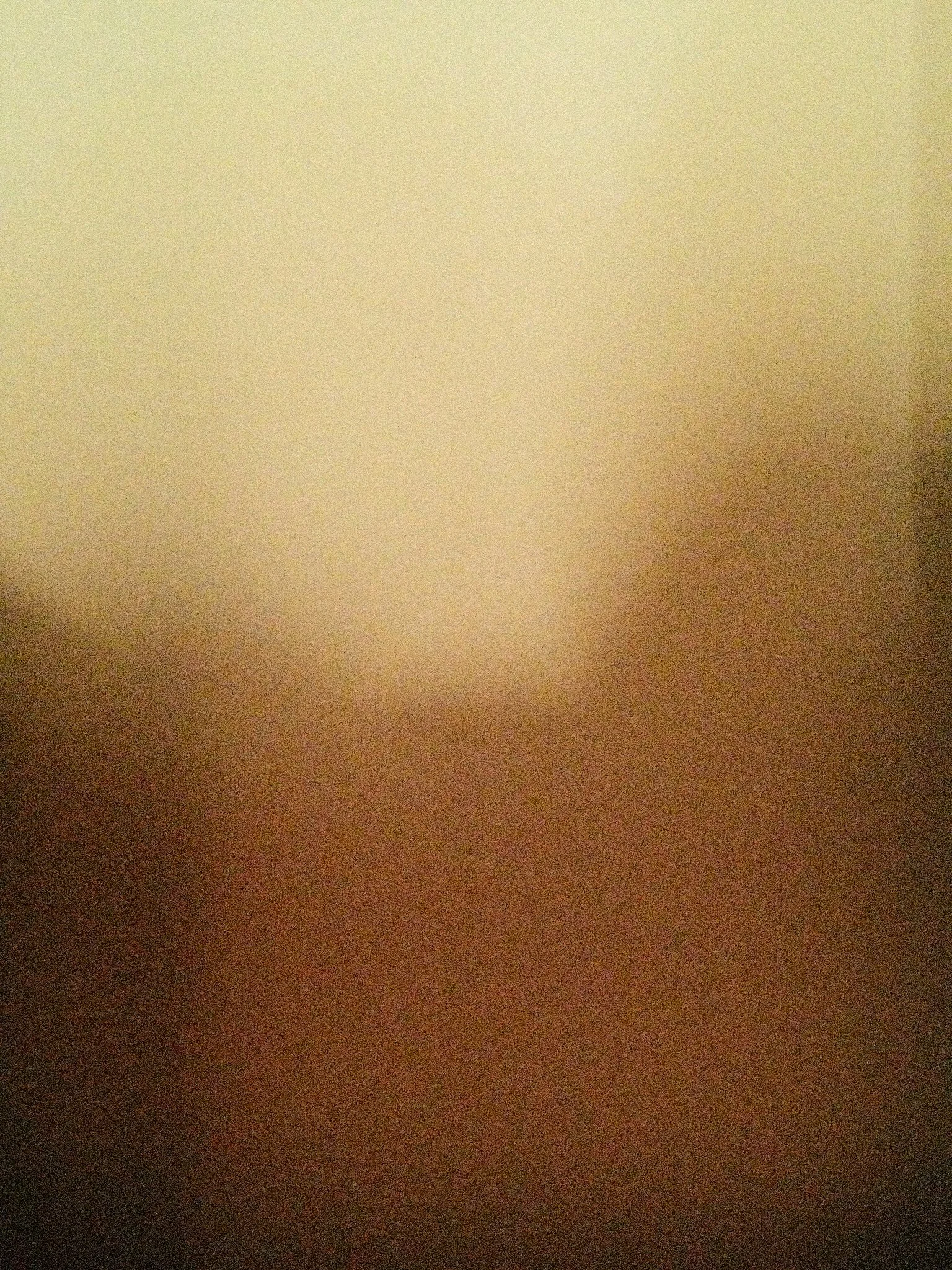 Eigenlicht_2026_A_053.jpg