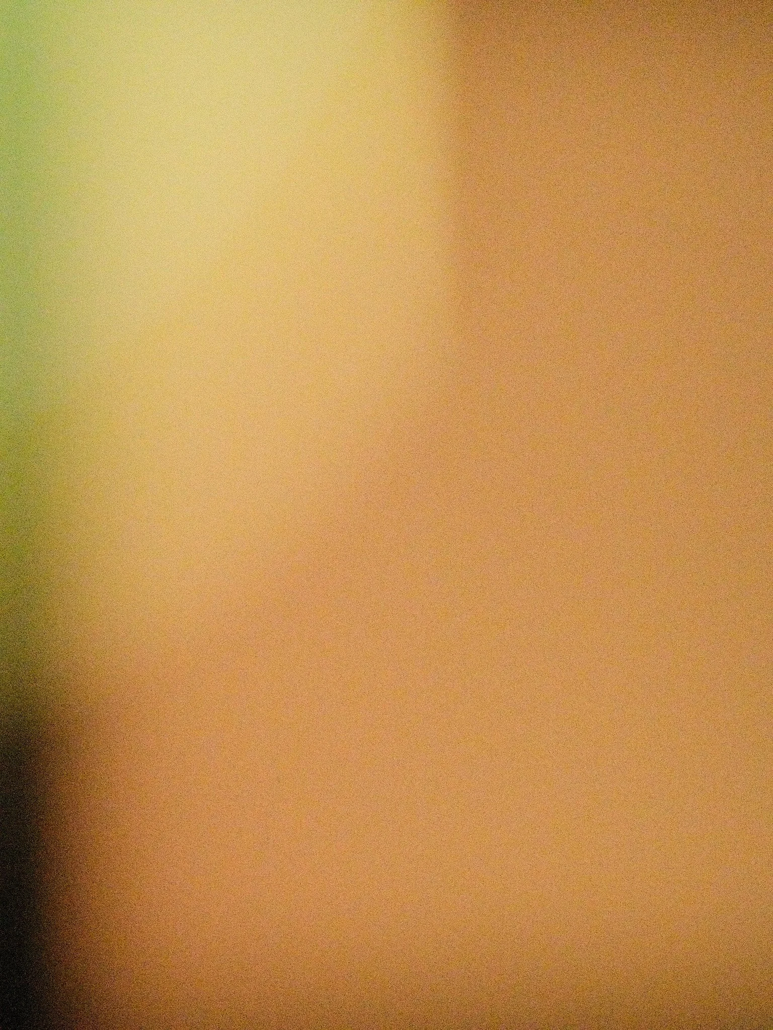 Eigenlicht_2026_A_054.jpg