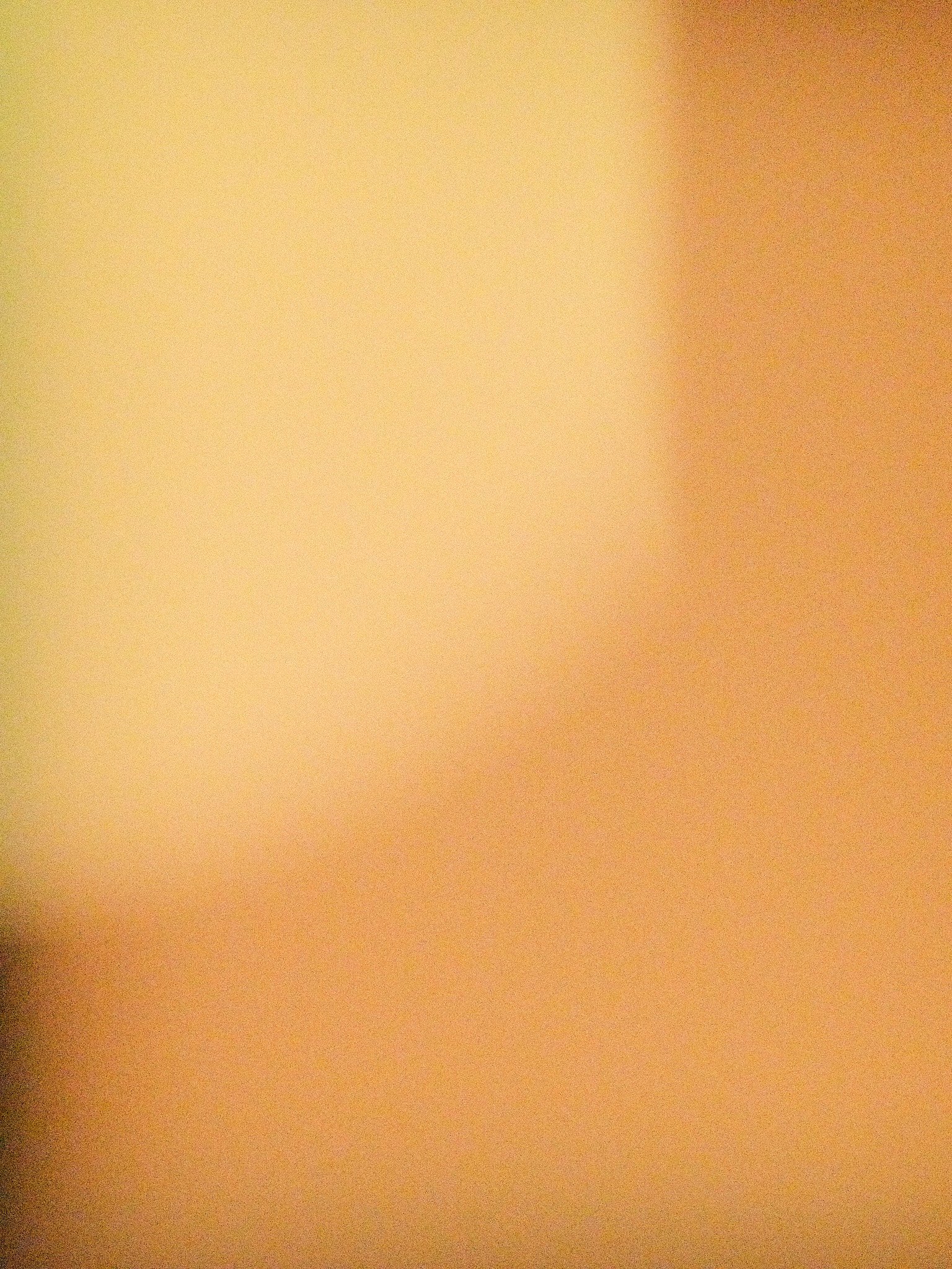 Eigenlicht_2026_A_058.jpg