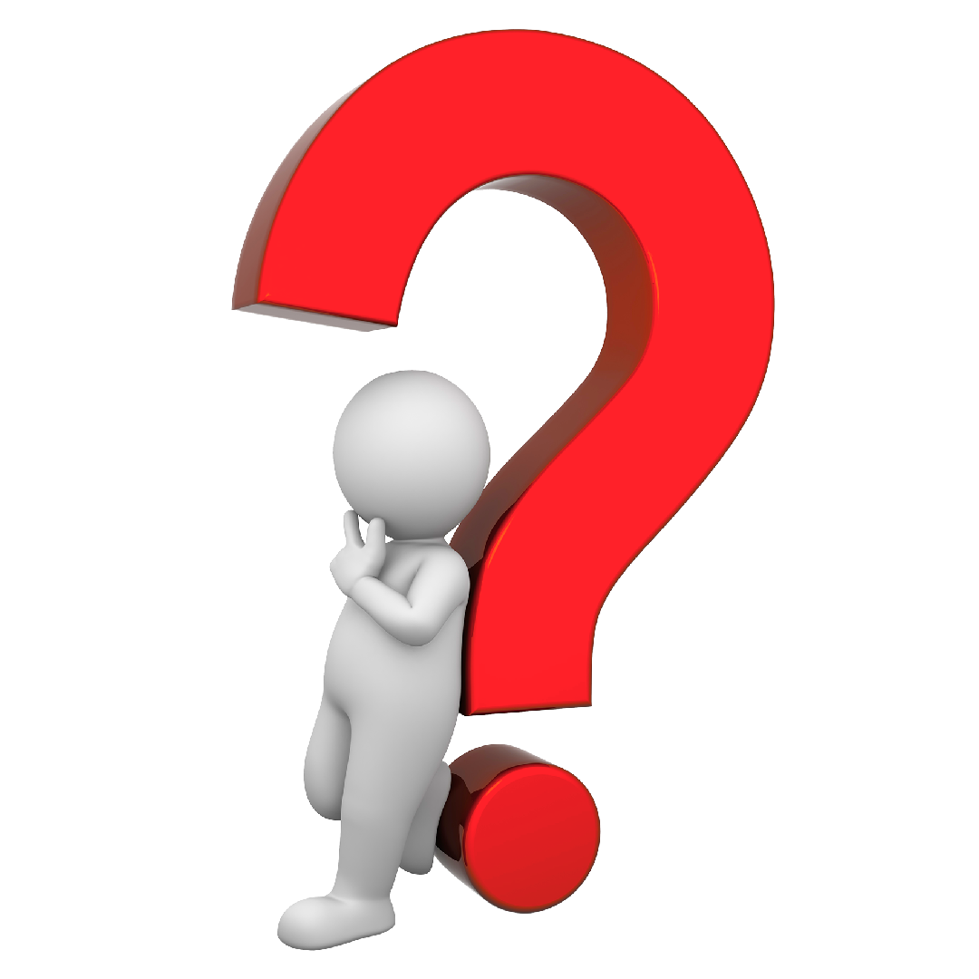 New Project - 2026-02-18T235908.673.png