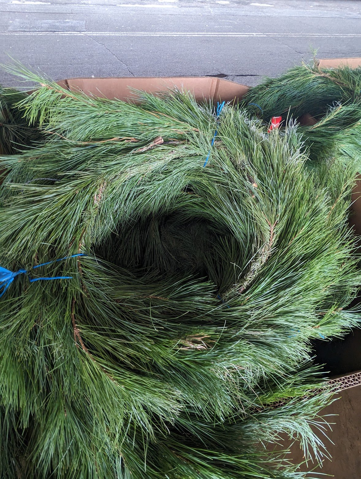 white pine garland.jpeg