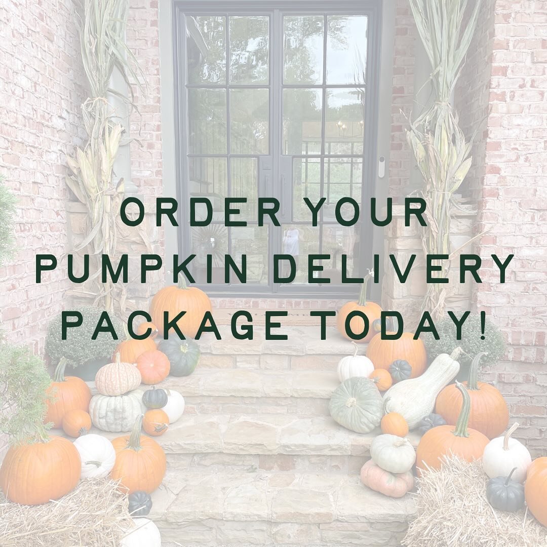 Our porch pumpkin delivery packages are now available to order! Get a beautiful assortment of heirloom, carving, white, and pie pumpkins along with hay, corn stalks, and mums delivered and set up right to your door. Reach out with any questions and o