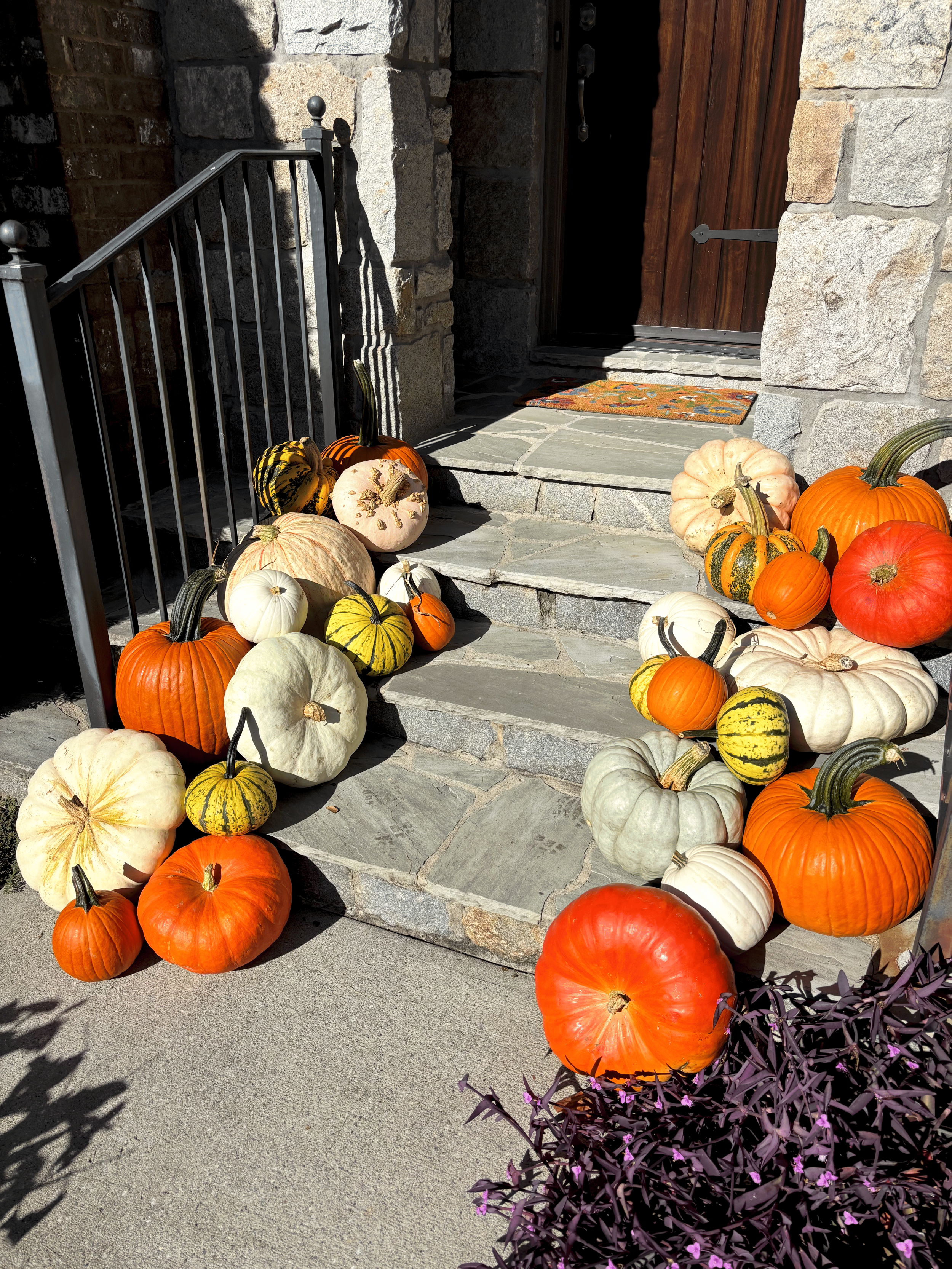 Pumpkin Package - Wednesday Addams
