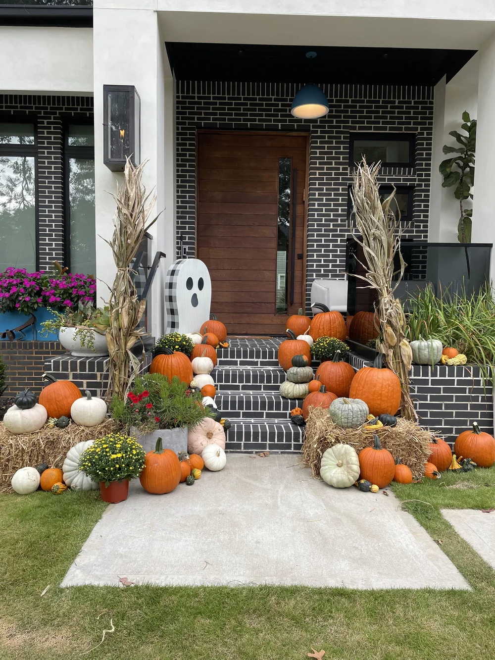 pumpkin package jack skellington — Spillers Pots, image size:1000x1333