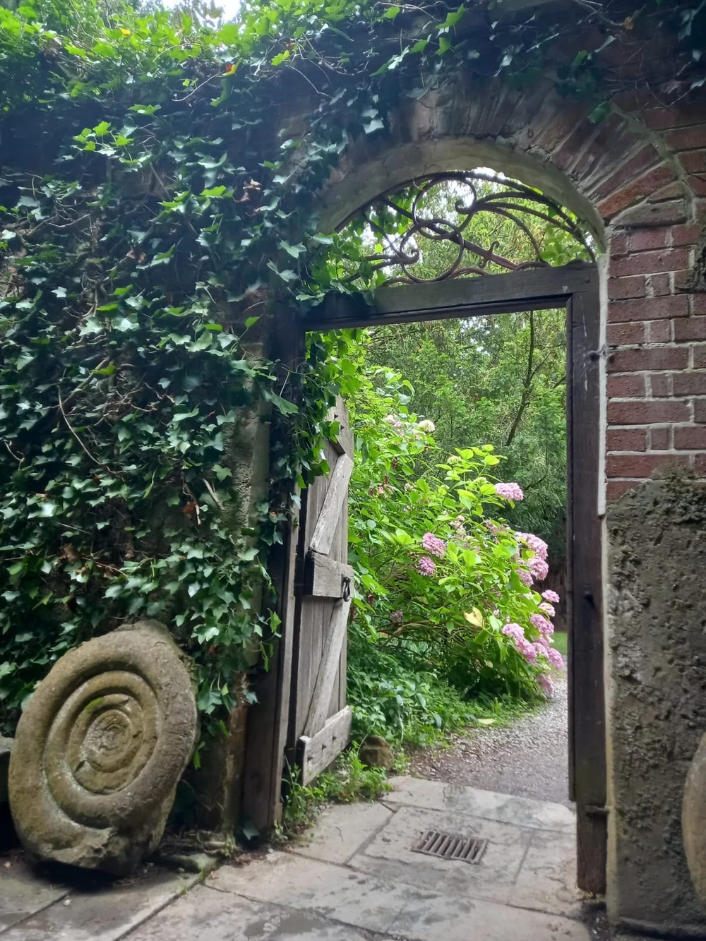 WhatsApp Image 2023-08-01 at 11.04.15 AM.jpeg