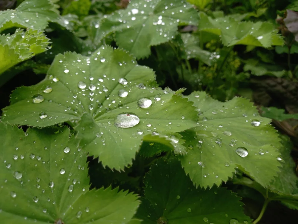 WhatsApp Image 2023-08-01 at 11.04.22 AM.jpeg