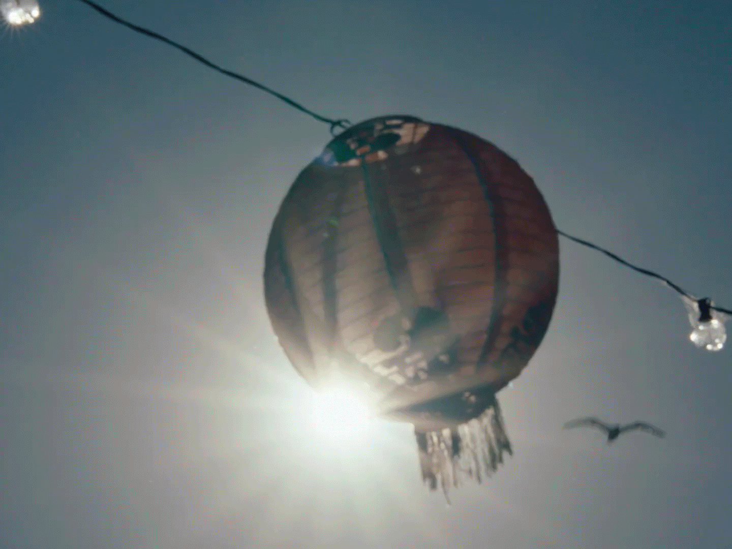 Thi Bui + Akonadi Foundation