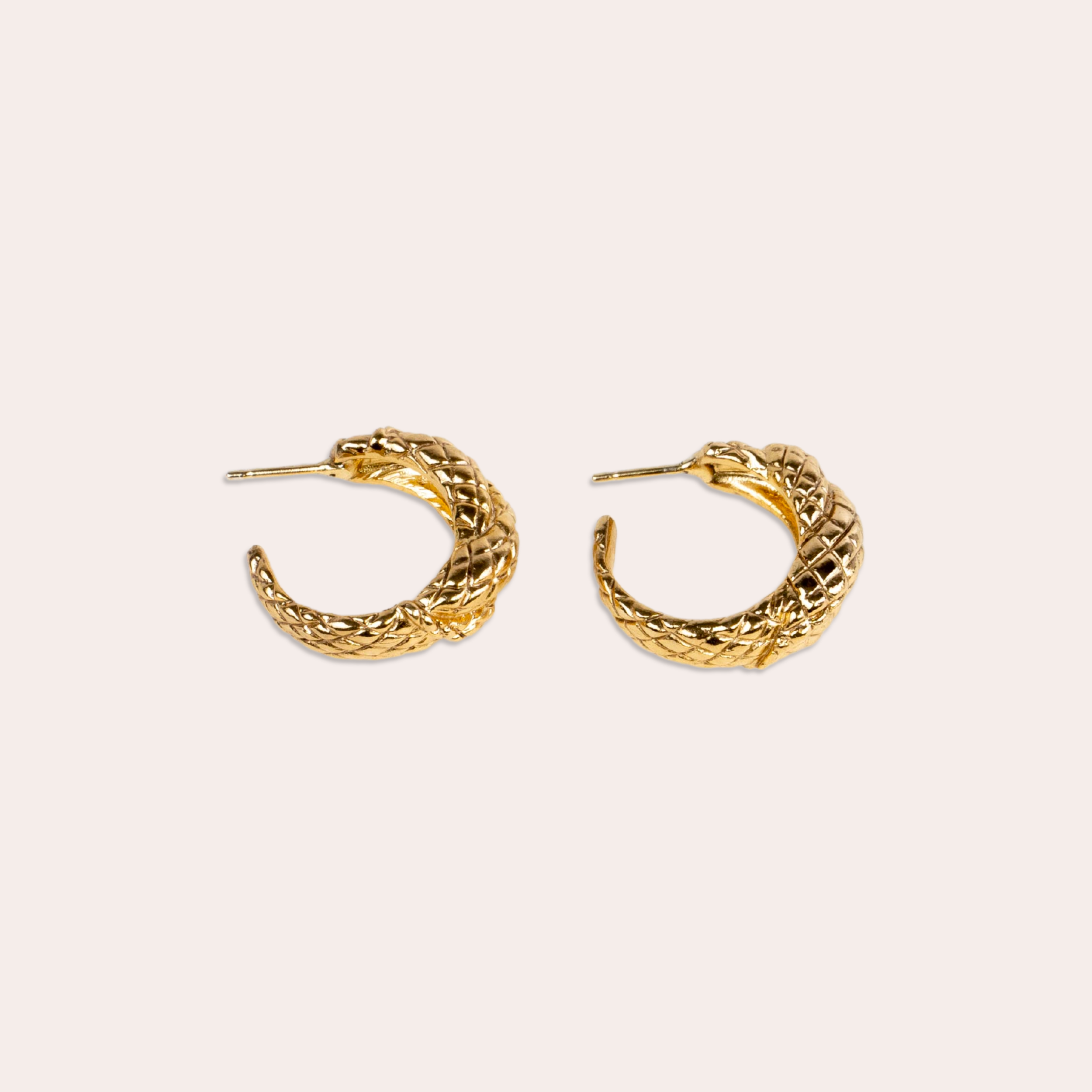 Python Hoops