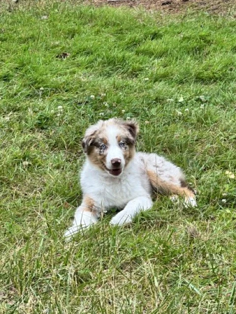 IMG_5575 Medium.jpeg