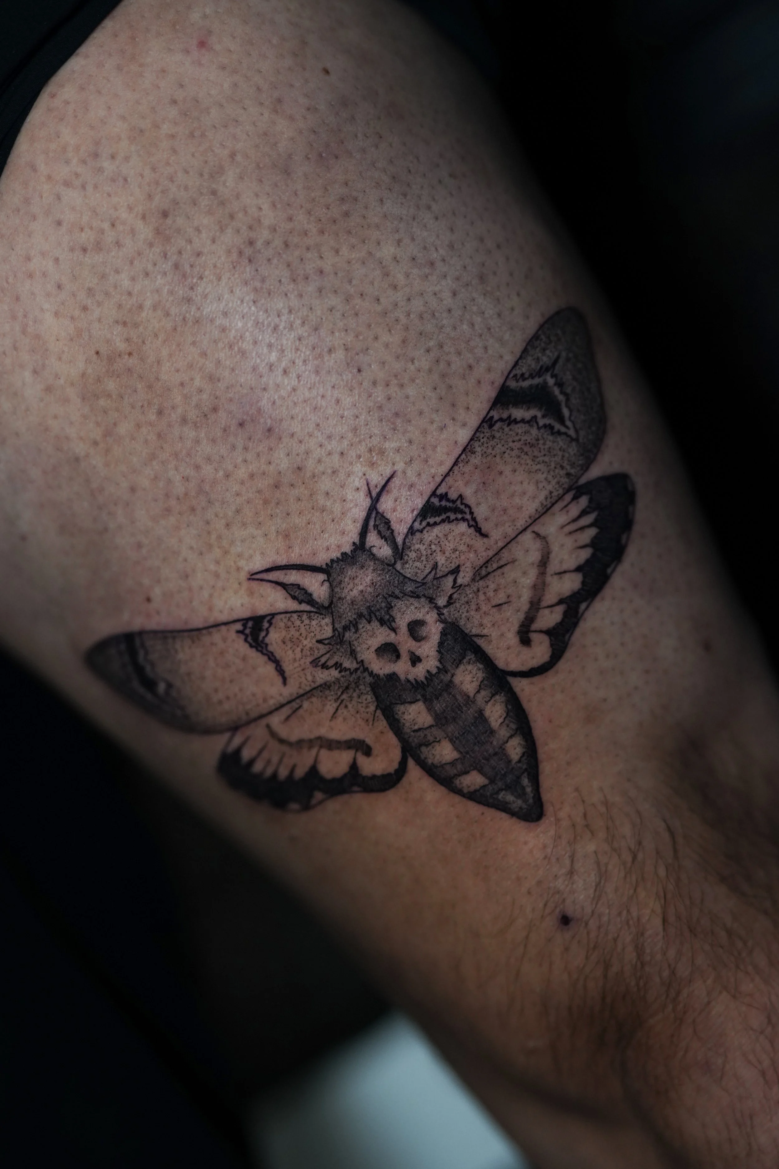 Photo Oct 04 2025, 3 31 43 PM.jpg