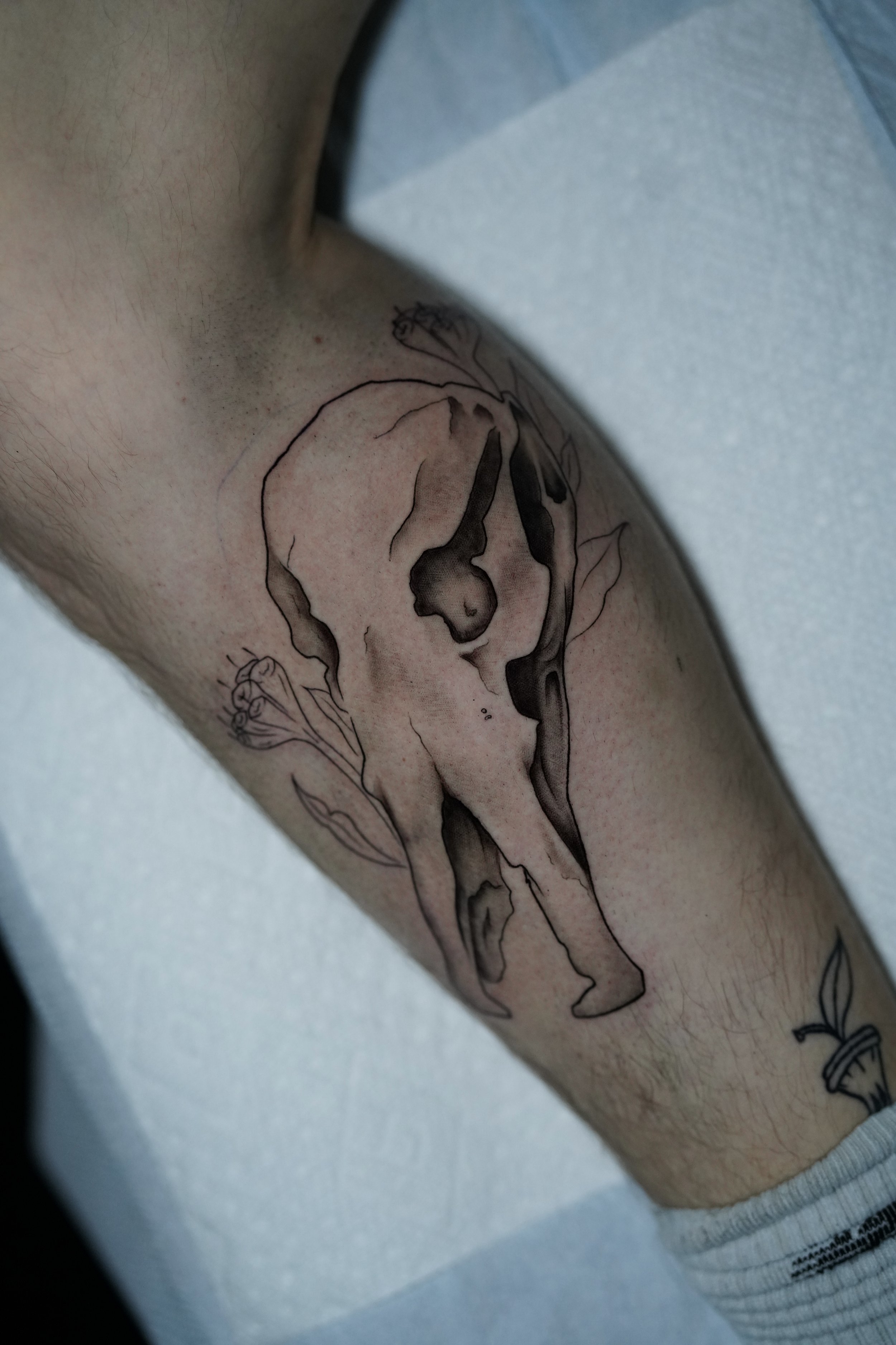 Photo Jan 07 2026, 7 07 23 PM.jpg