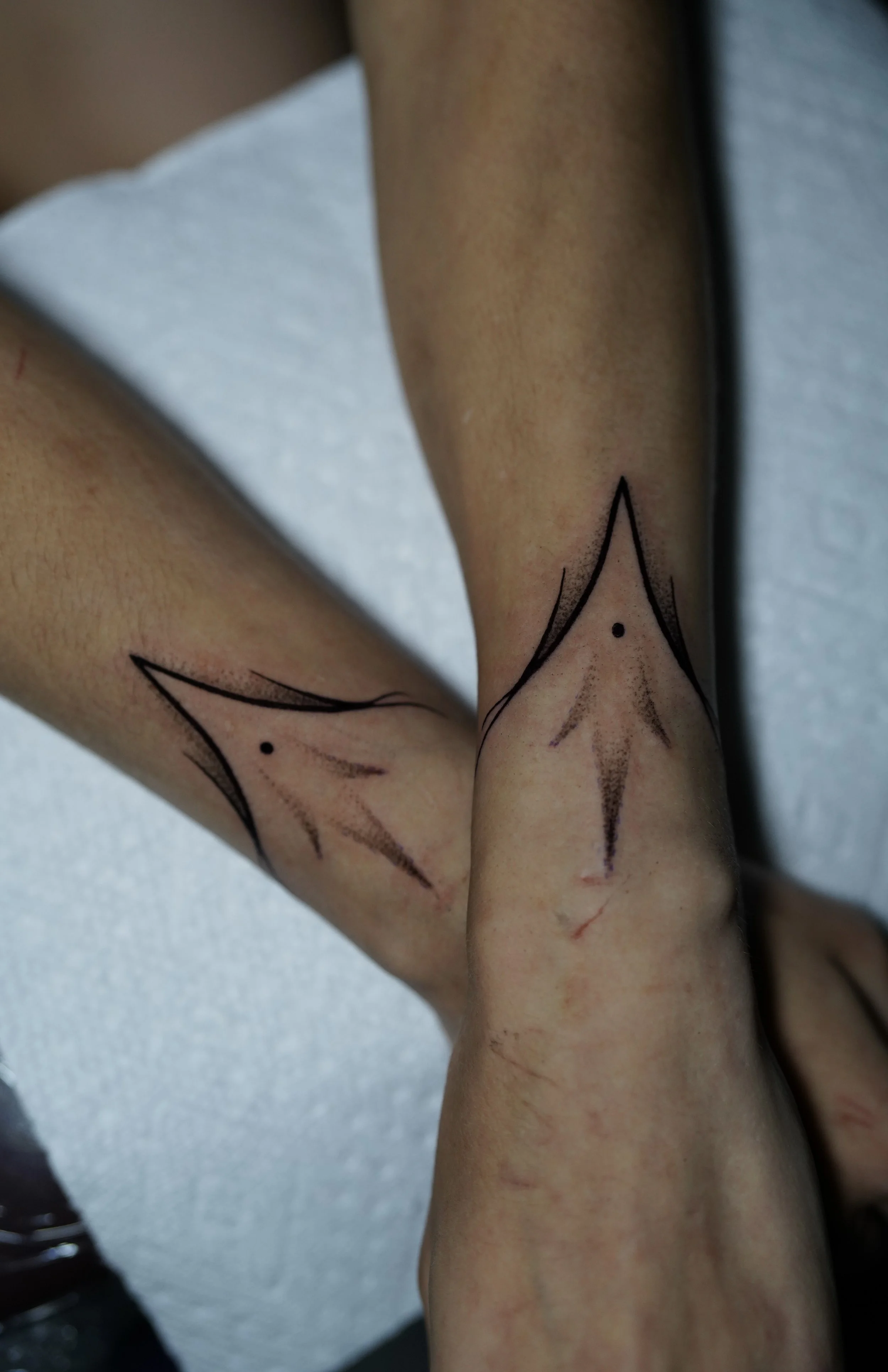 Photo Sep 17 2025, 8 44 12 PM.jpg