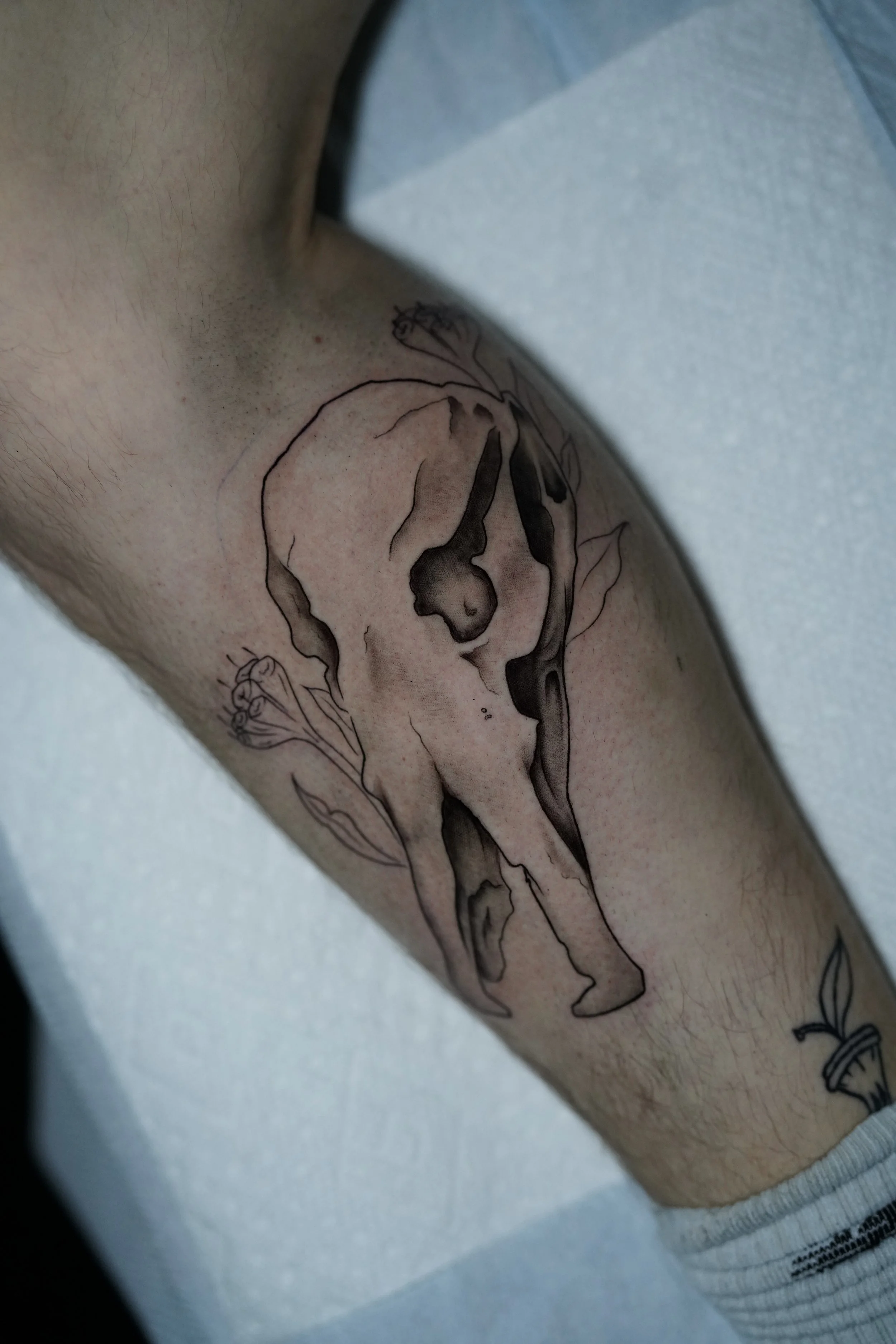 Photo Jan 07 2026, 7 07 23 PM.jpg