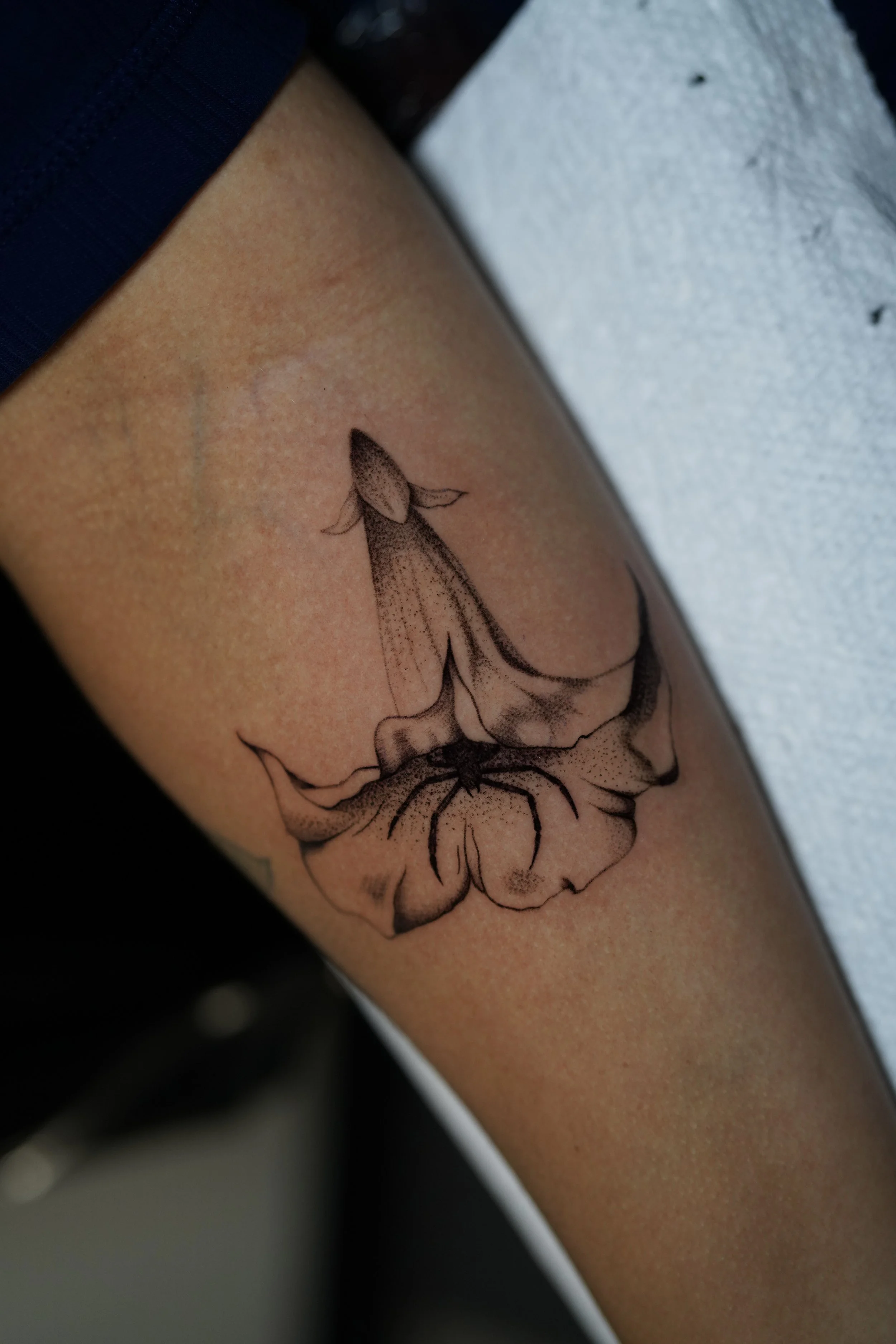 Photo Sep 18 2025, 6 45 00 PM.jpg