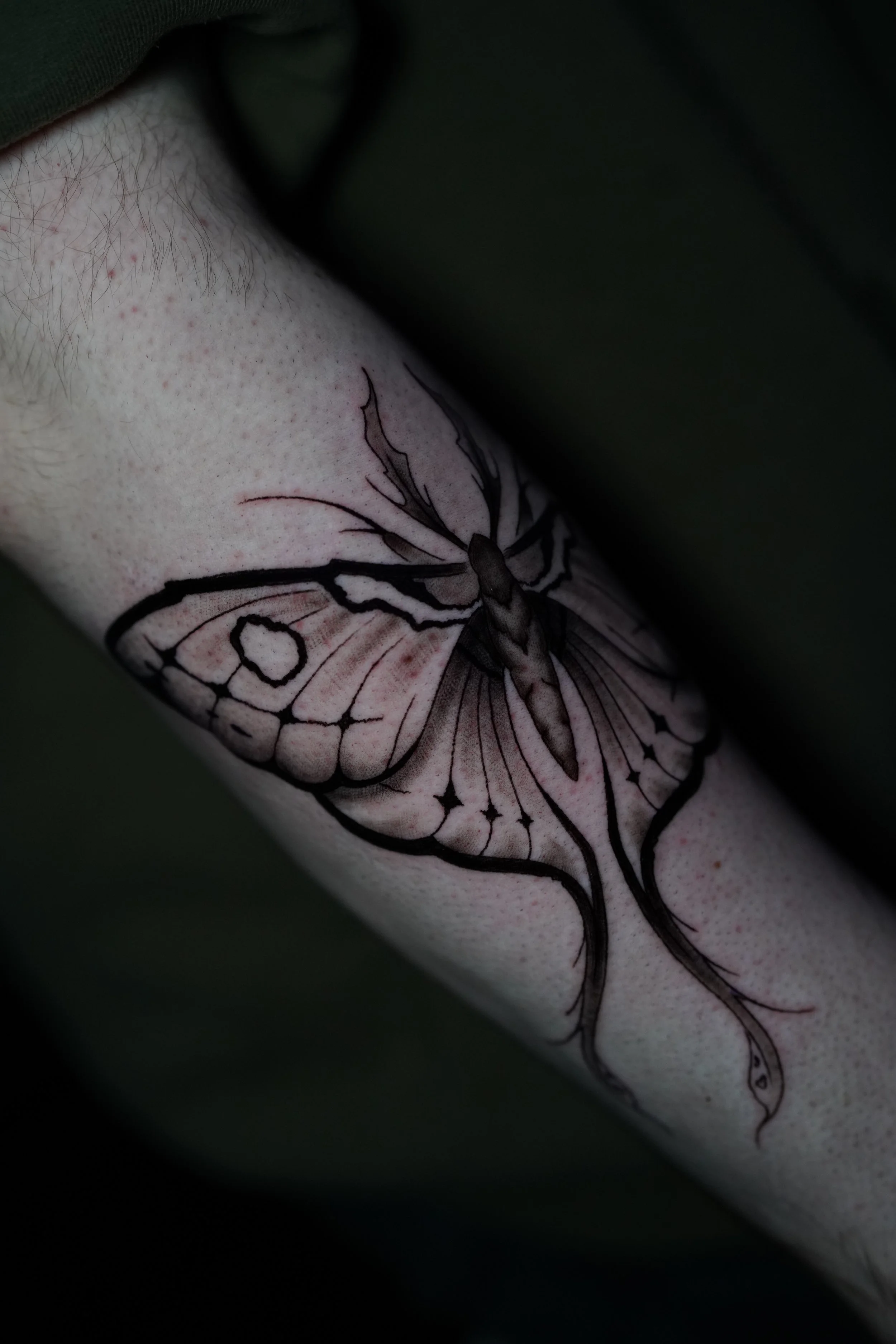 Photo Jan 23 2026, 8 34 51 PM.jpg