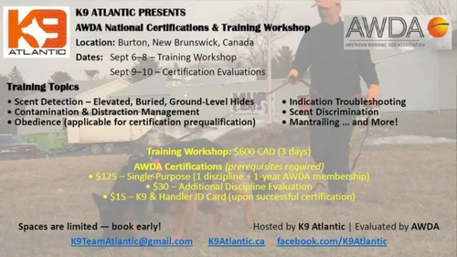 AWDA Events & Seminars — AWDA