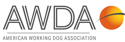 AWDA Events & Seminars — AWDA