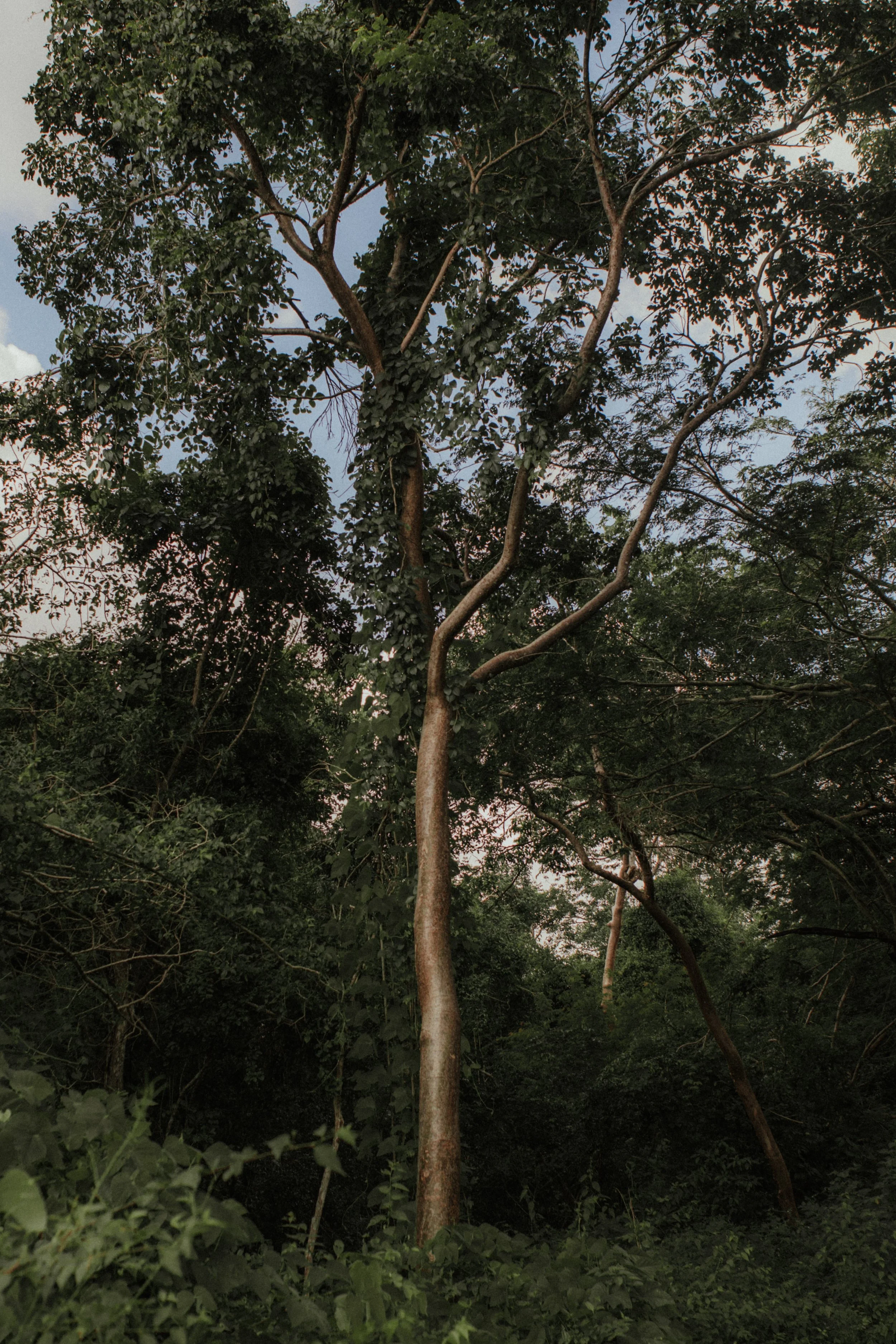 0F1A0284.jpg