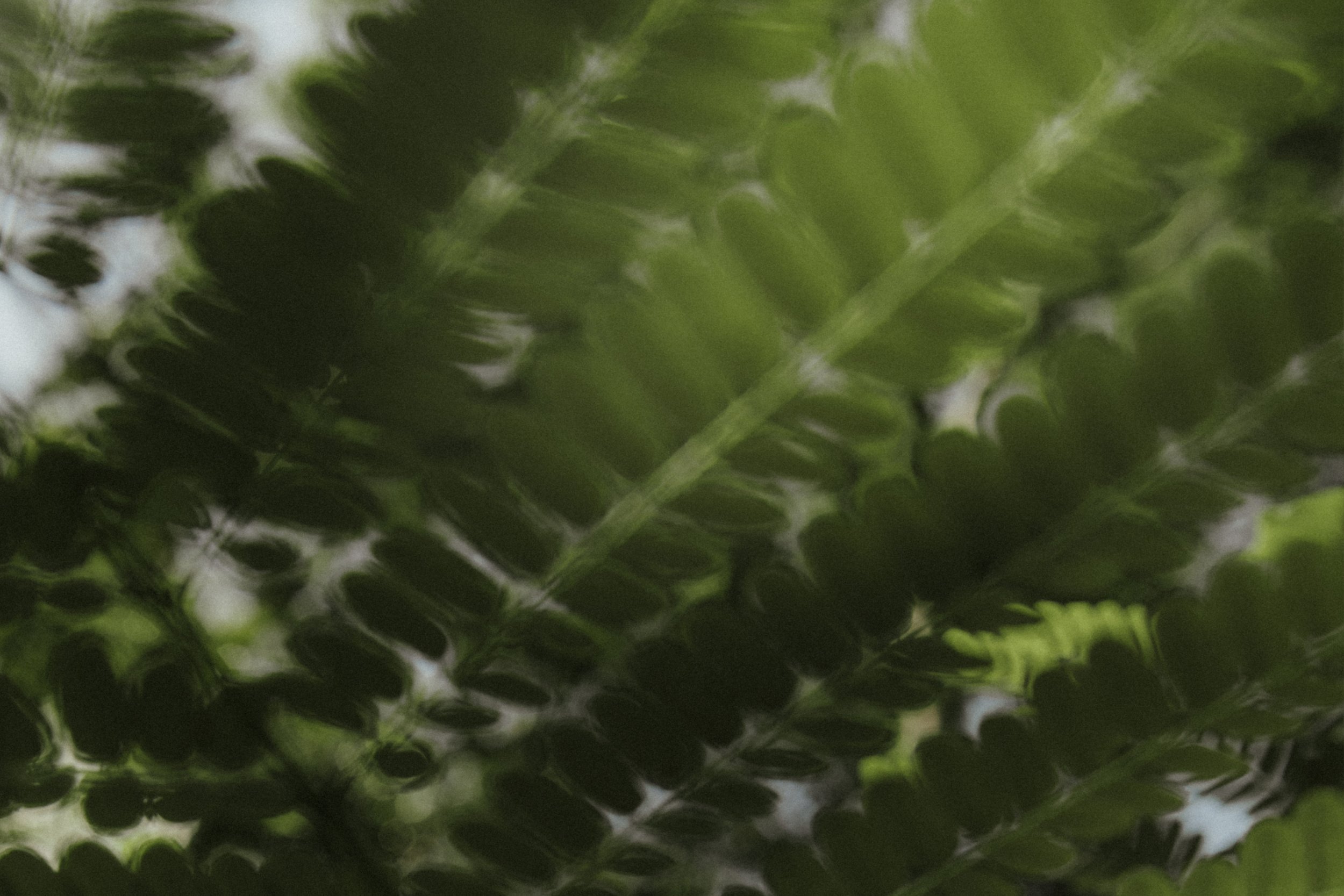 0F1A9744 vertical.jpg