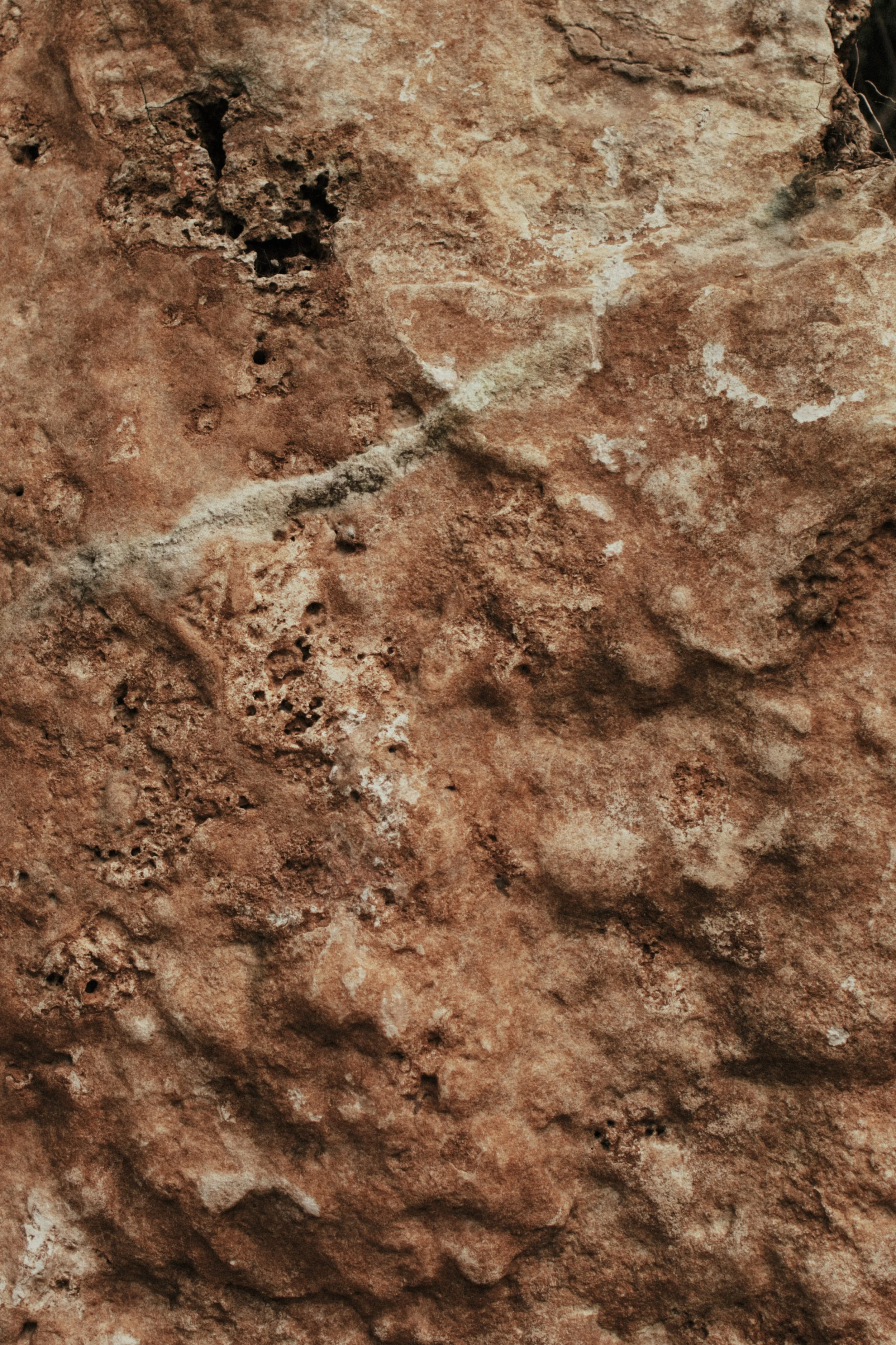 0F1A0294.jpg