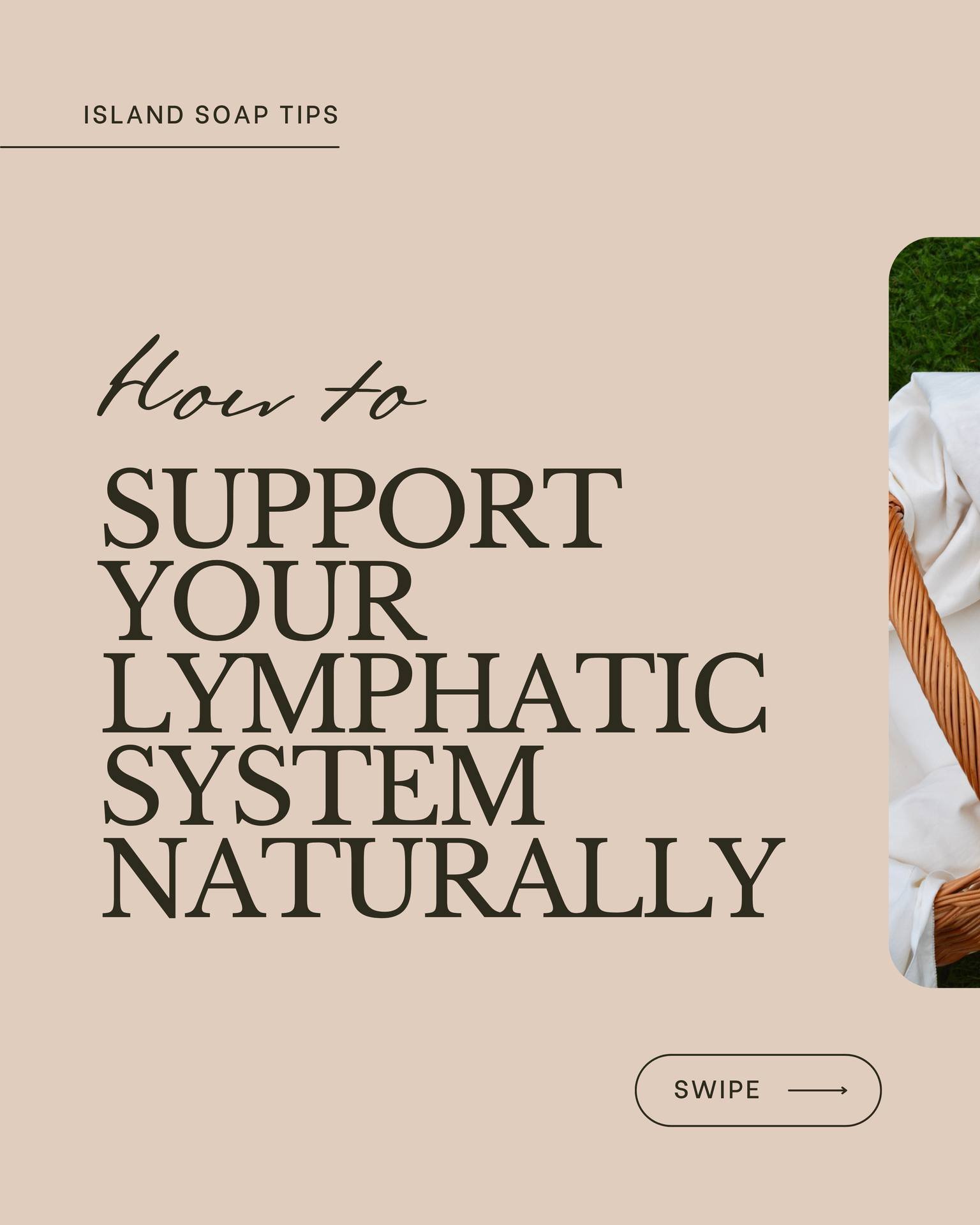 This month&rsquo;s Island Soap Tips are all about supporting your lymphatic system, the quiet, behind-the-scenes network that helps your body stay balanced and well 💧

We love learning about the small, simple ways we can care for ourselves more deep
