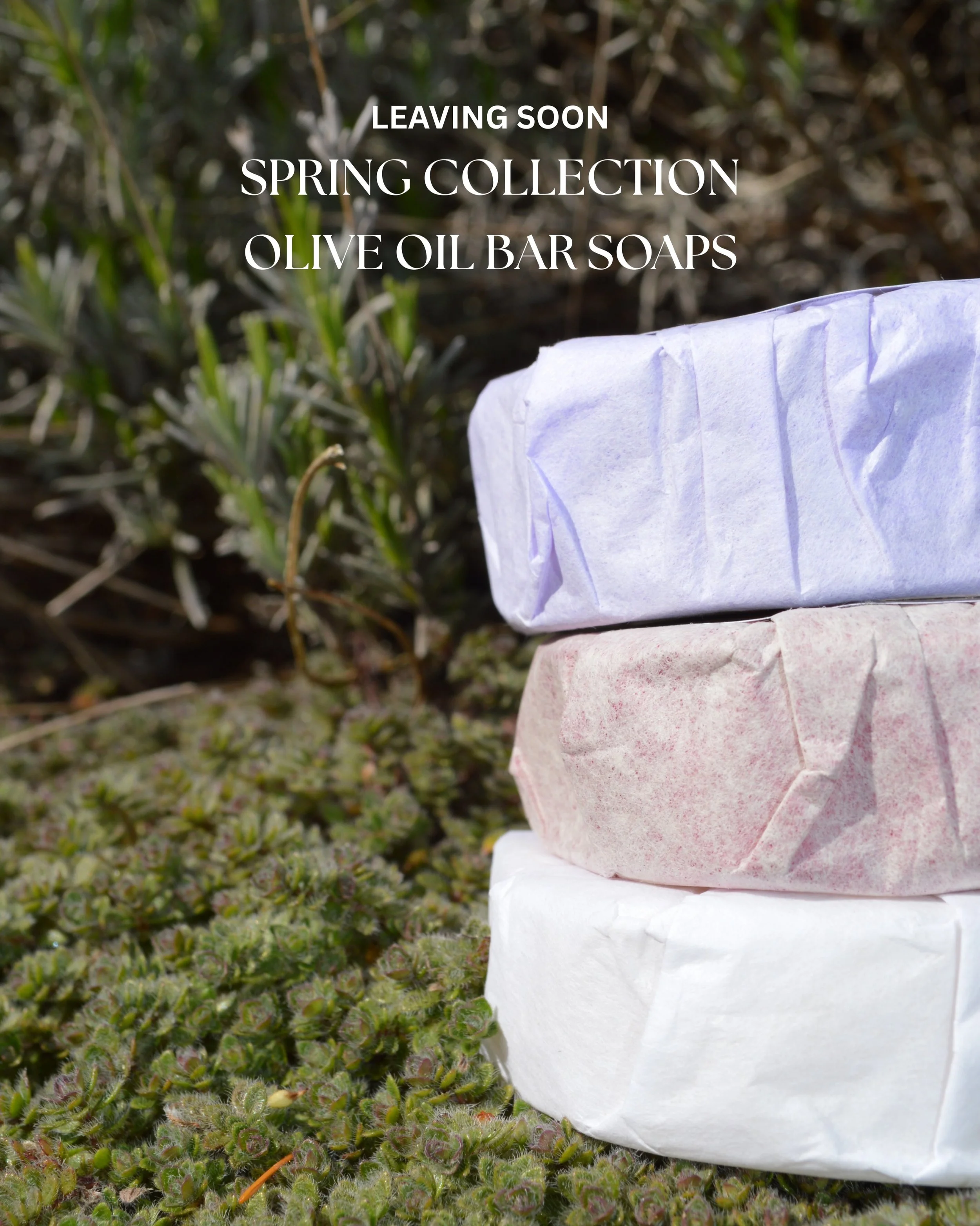 Only one week left to shop our Spring collection of olive oil bar soaps 🫡 Once they are gone, they are gone for good! 

#islandsoapco #shoplocal #handmade #oliveoilsoap