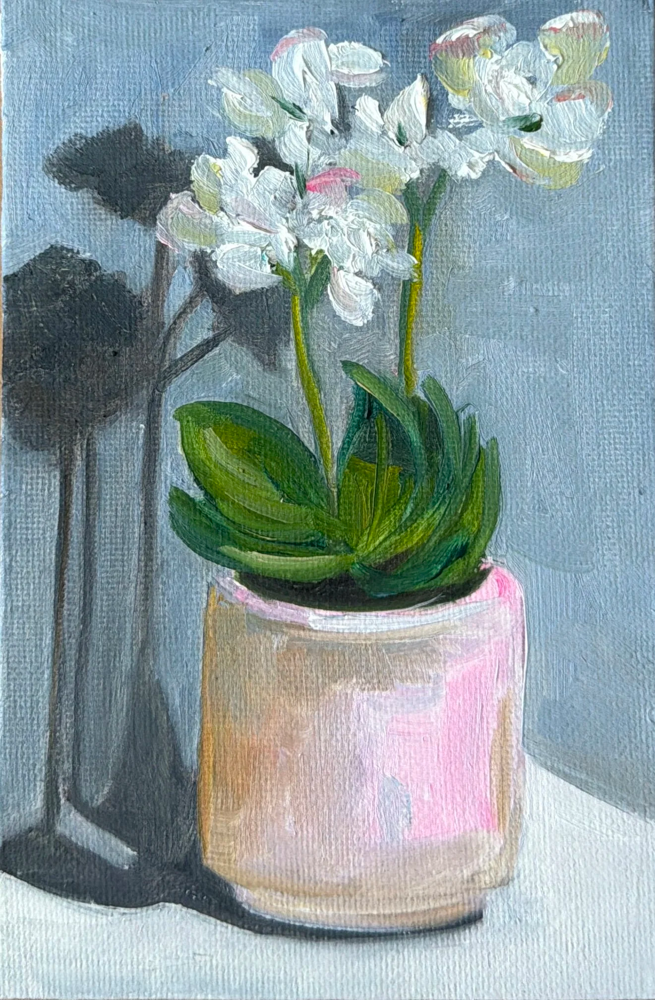 86-Orchids (SOLD)
-6x4" Oil on Canvas