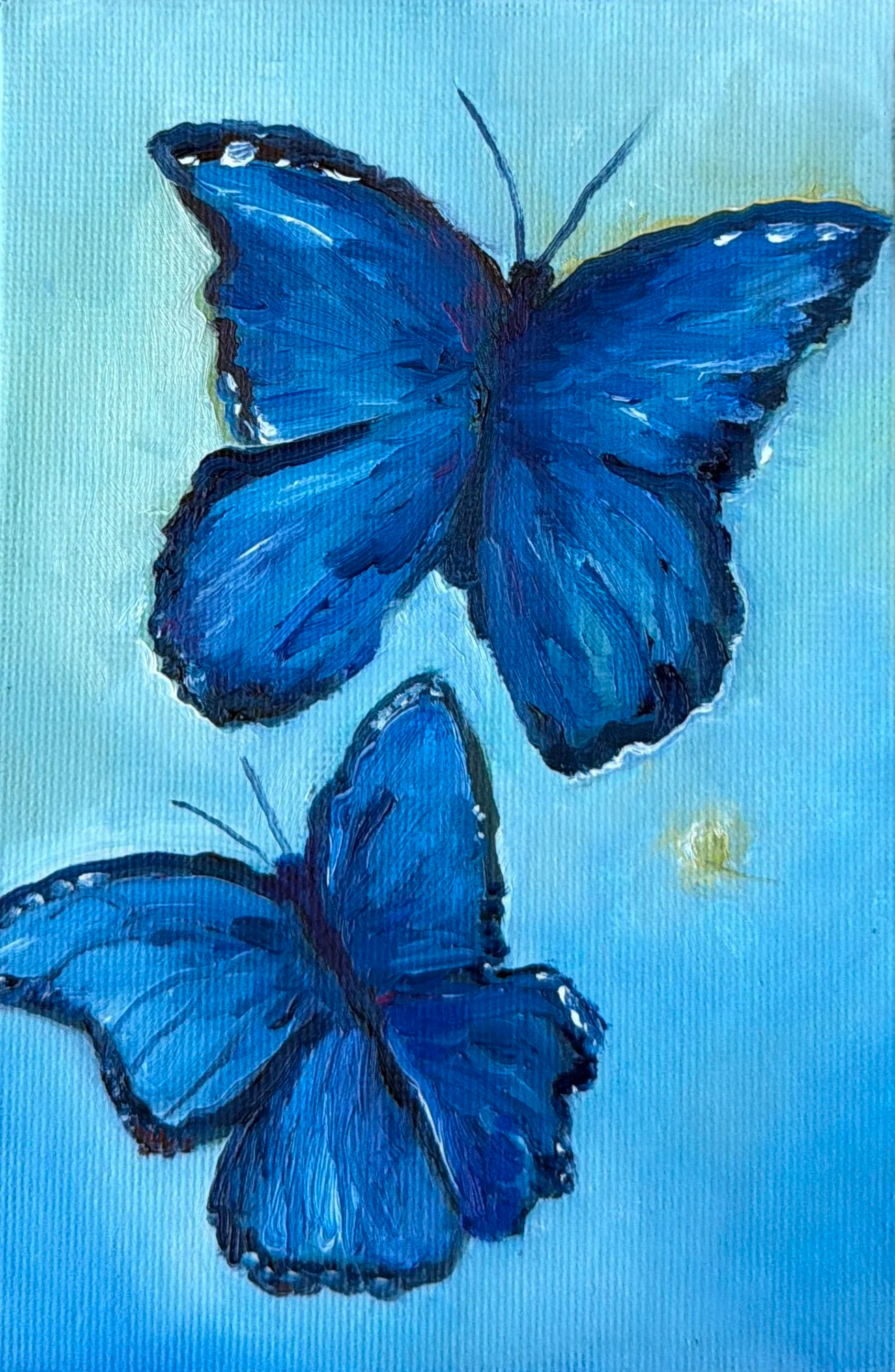96-Butterflies (SOLD)
-6x4" Oil on Canvas