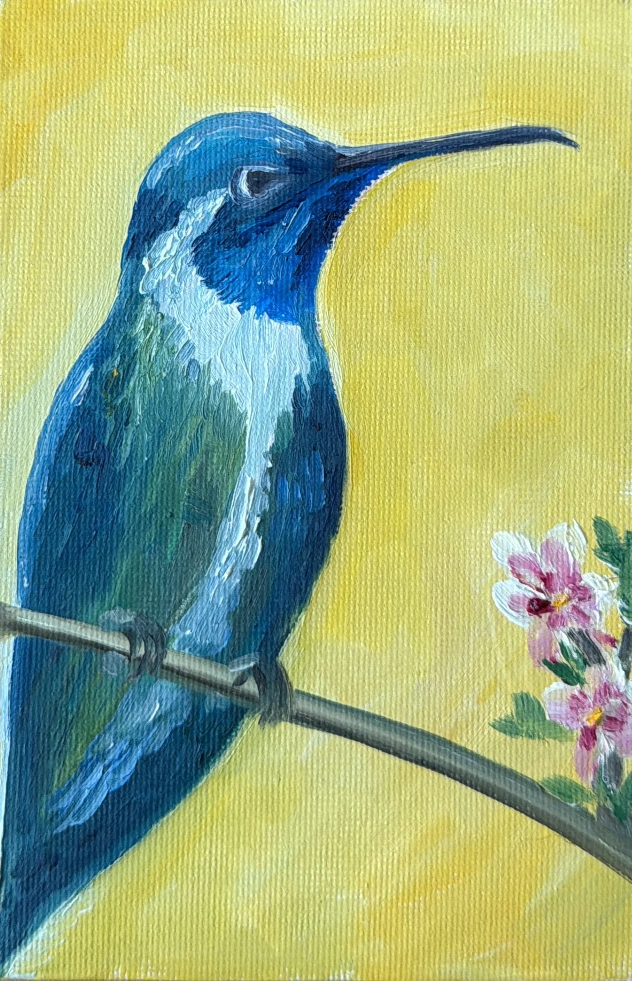 93-Hummingbird (SOLD)
-6x4" Oil on Canvas 