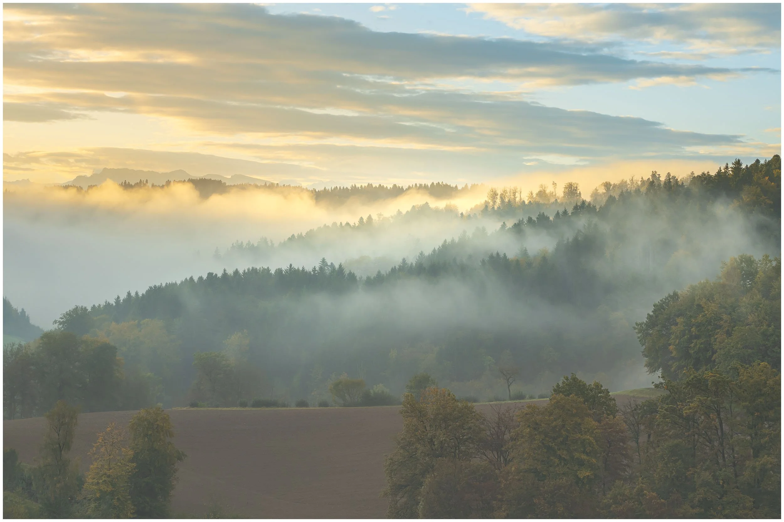 wald-3.jpg