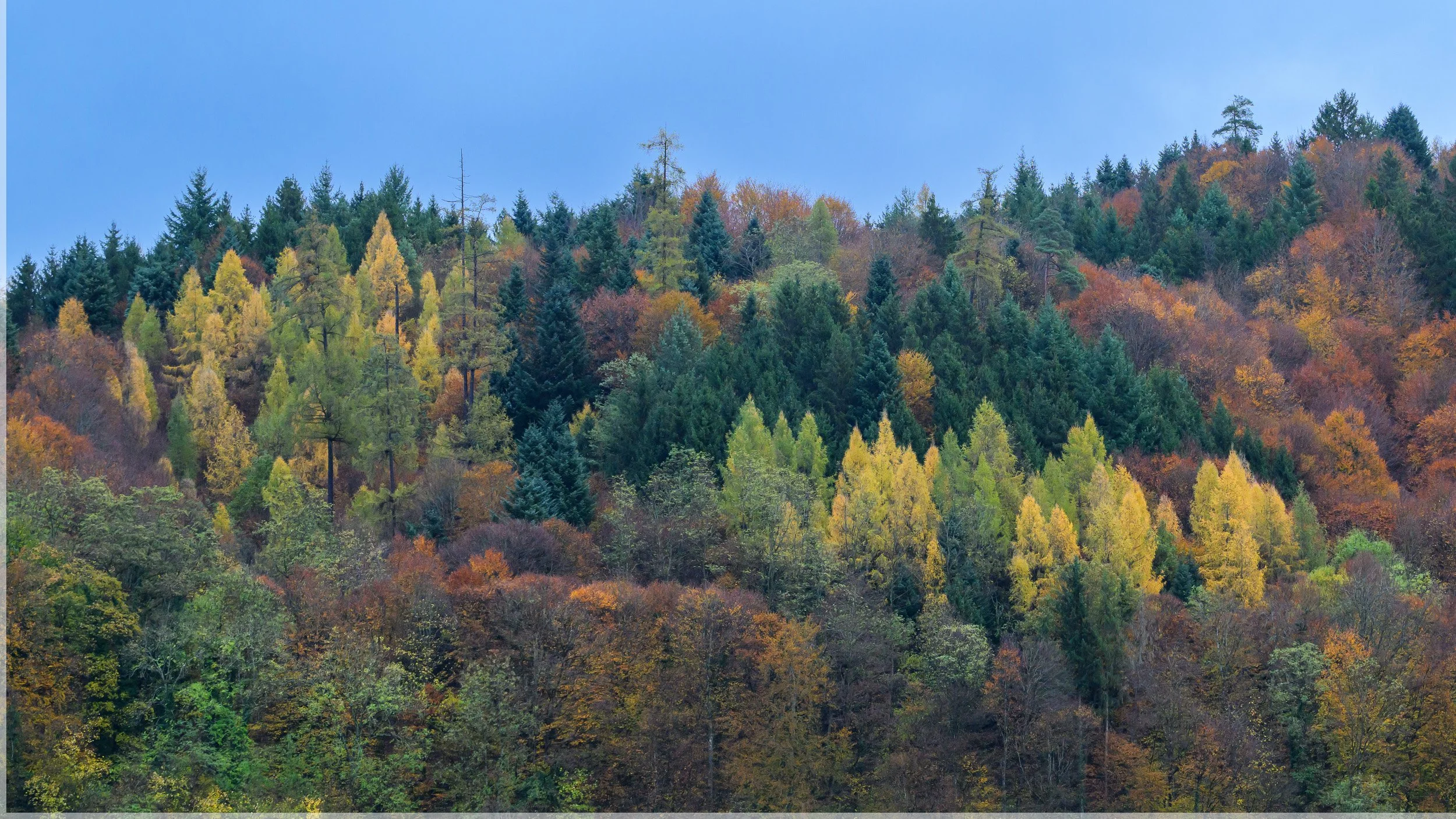 herbst-10.jpg