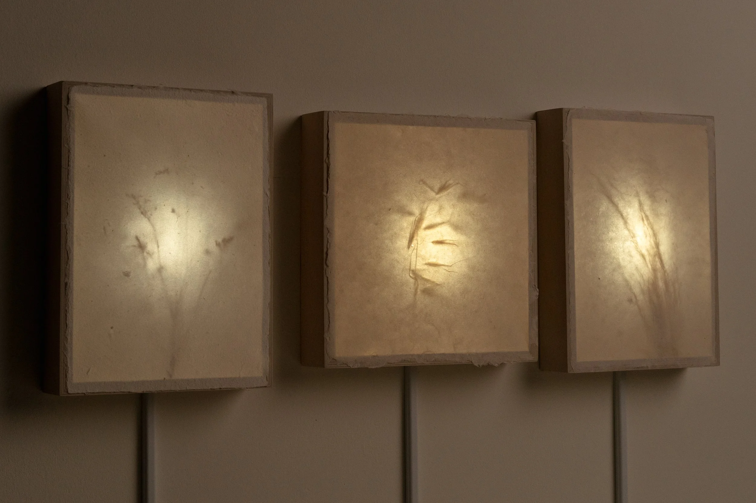 SofteningEverpresence