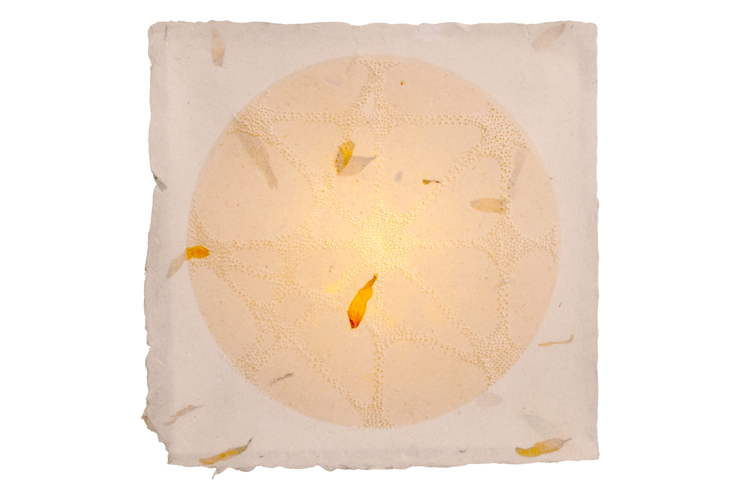 request flowers light.png