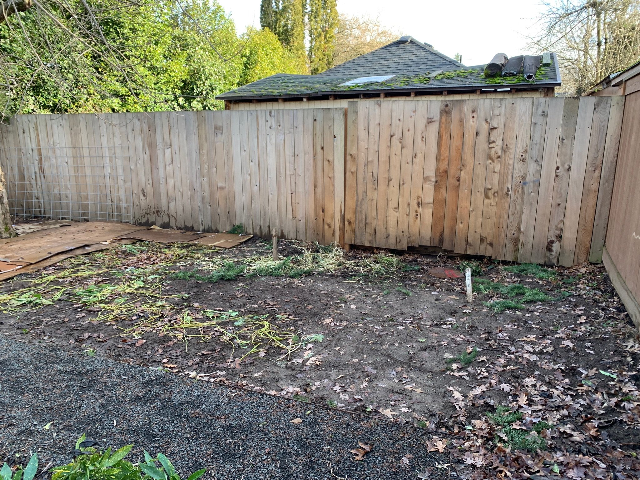 Before