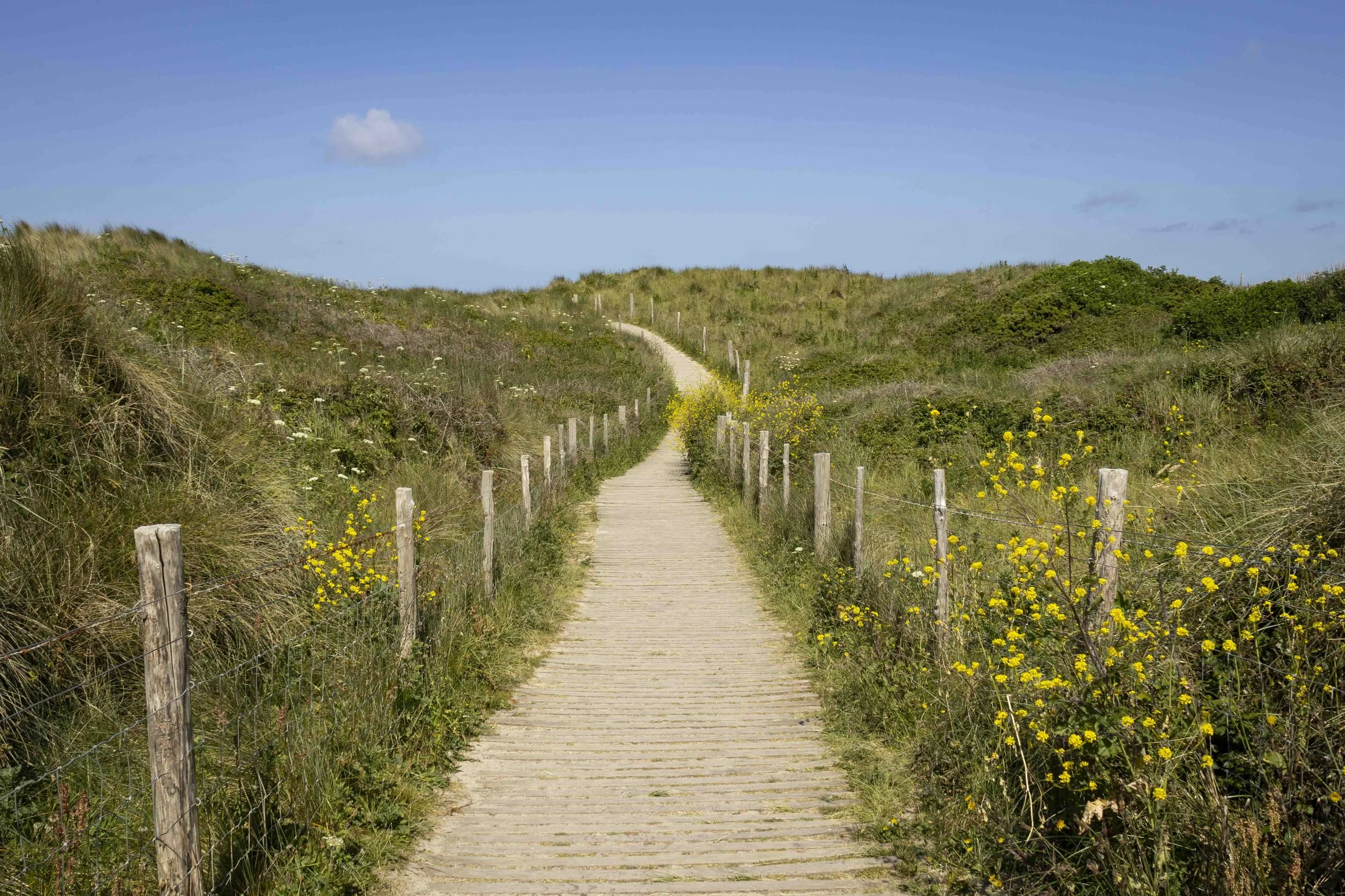 South west coast path