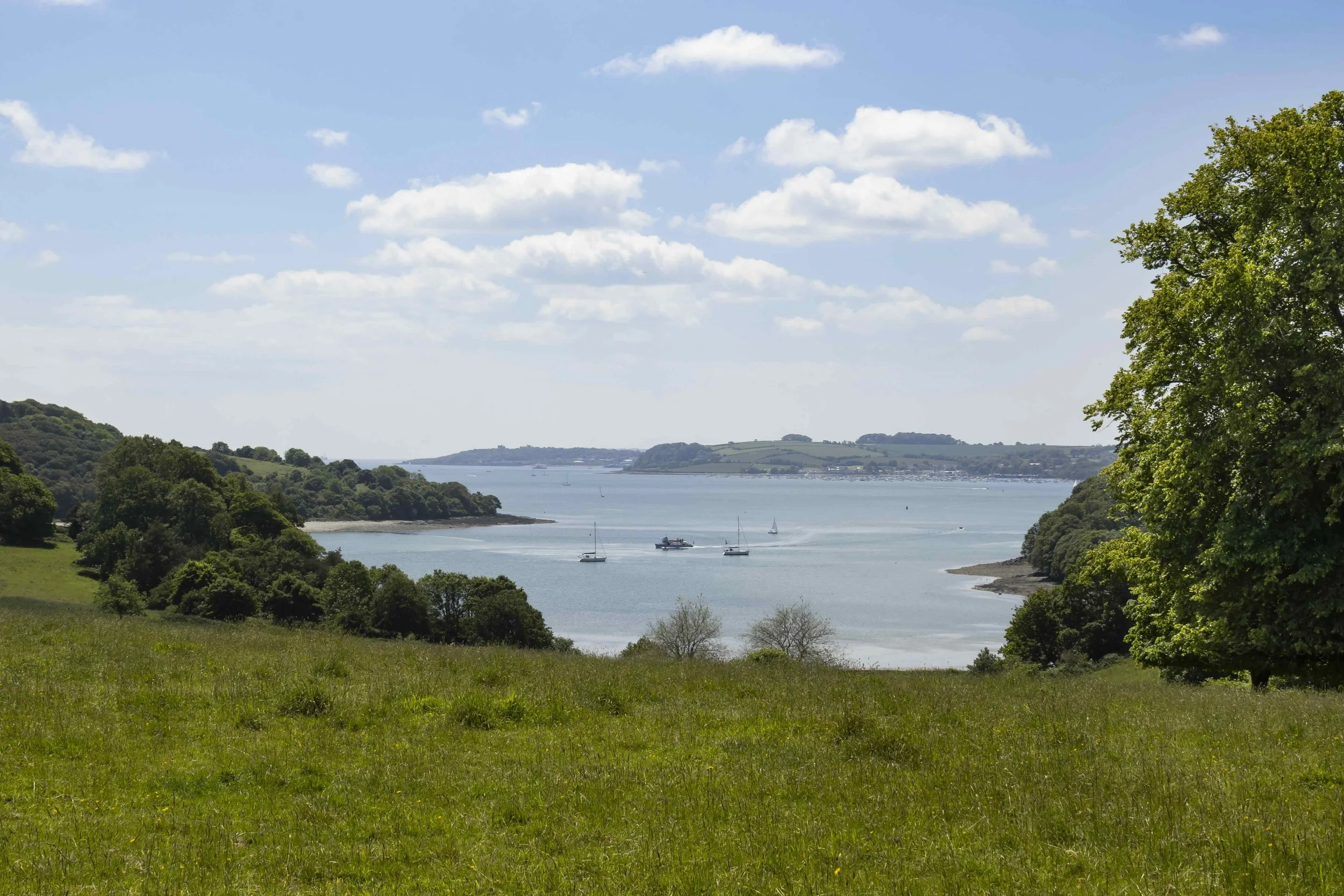 Trelissick Gardens