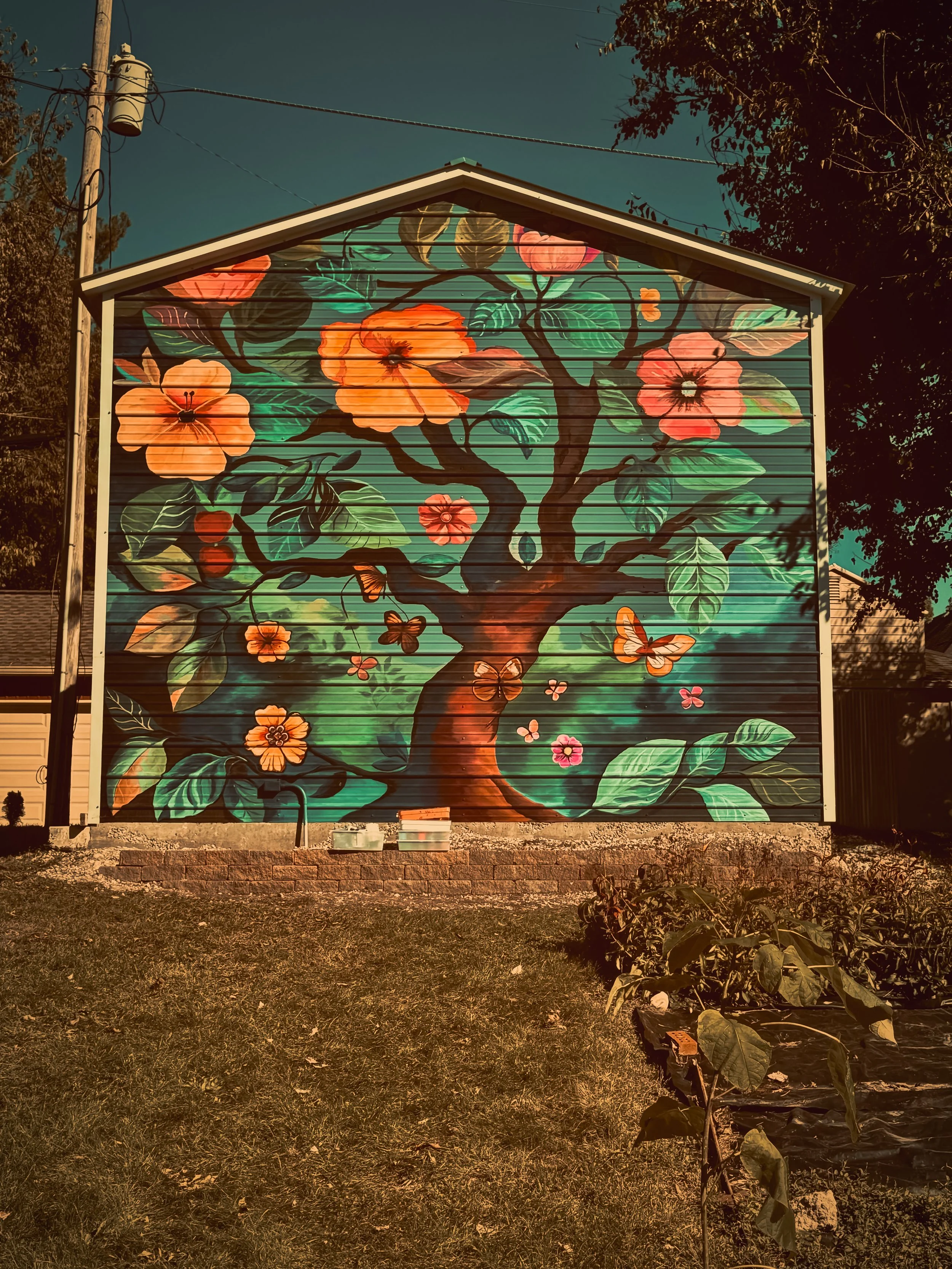 Flowering Tree of Life Exterior Mural
Colorful exterior mural featuring a large flowering tree, oversized blossoms, layered leaves, and butterflies painted across the side of a building.