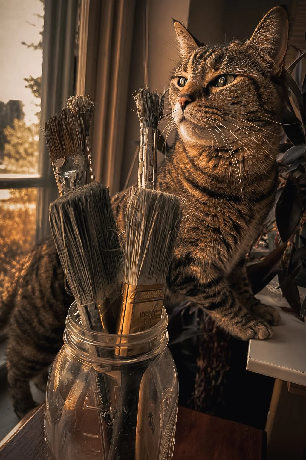 A tabby cat looking out a window, with paintbrushes in a glass jar in the foreground.