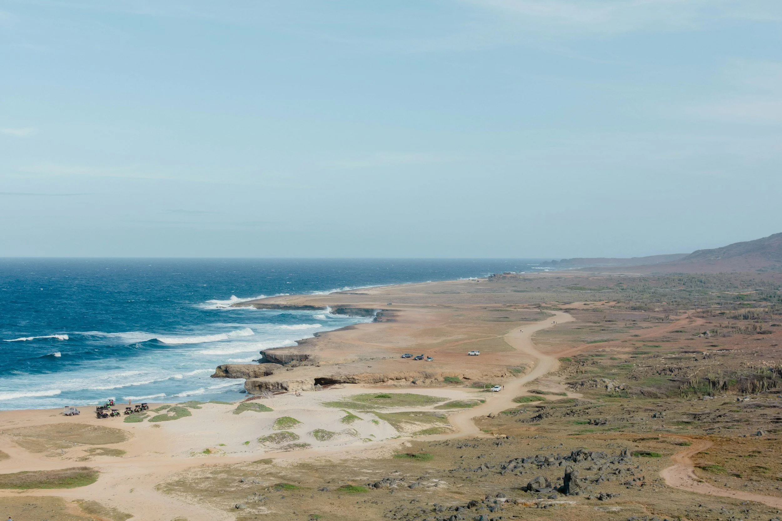 A Nature Lover's Guide to Aruba's Desert Ecosystem