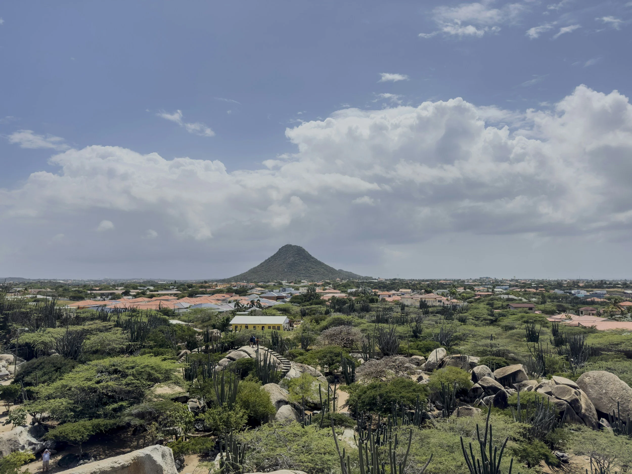 Aruba Weather Month by Month: What to Expect Year-Round in 2026