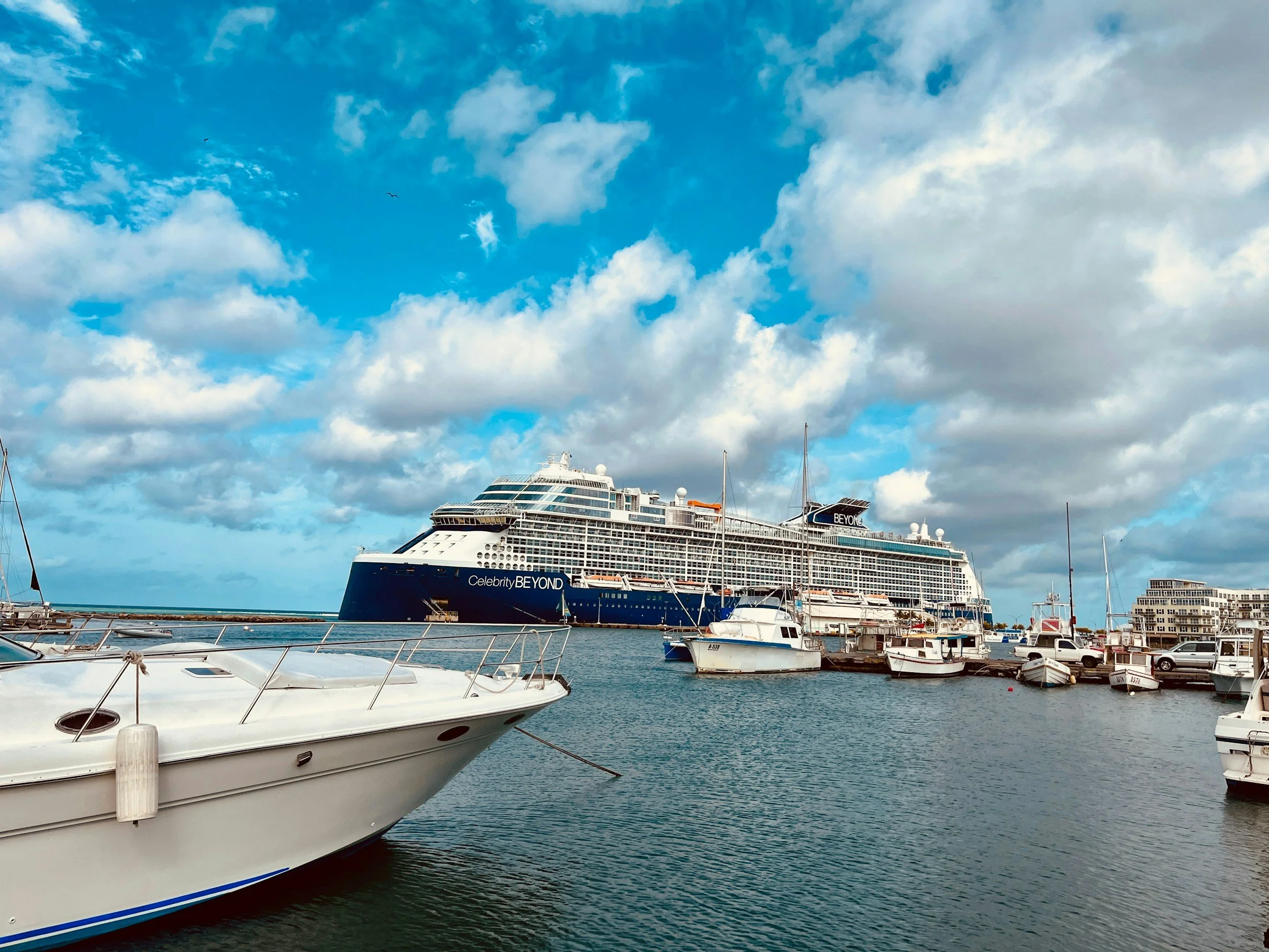 One Day in Aruba: The Ultimate Guide for Cruise Port and Layover Visitors