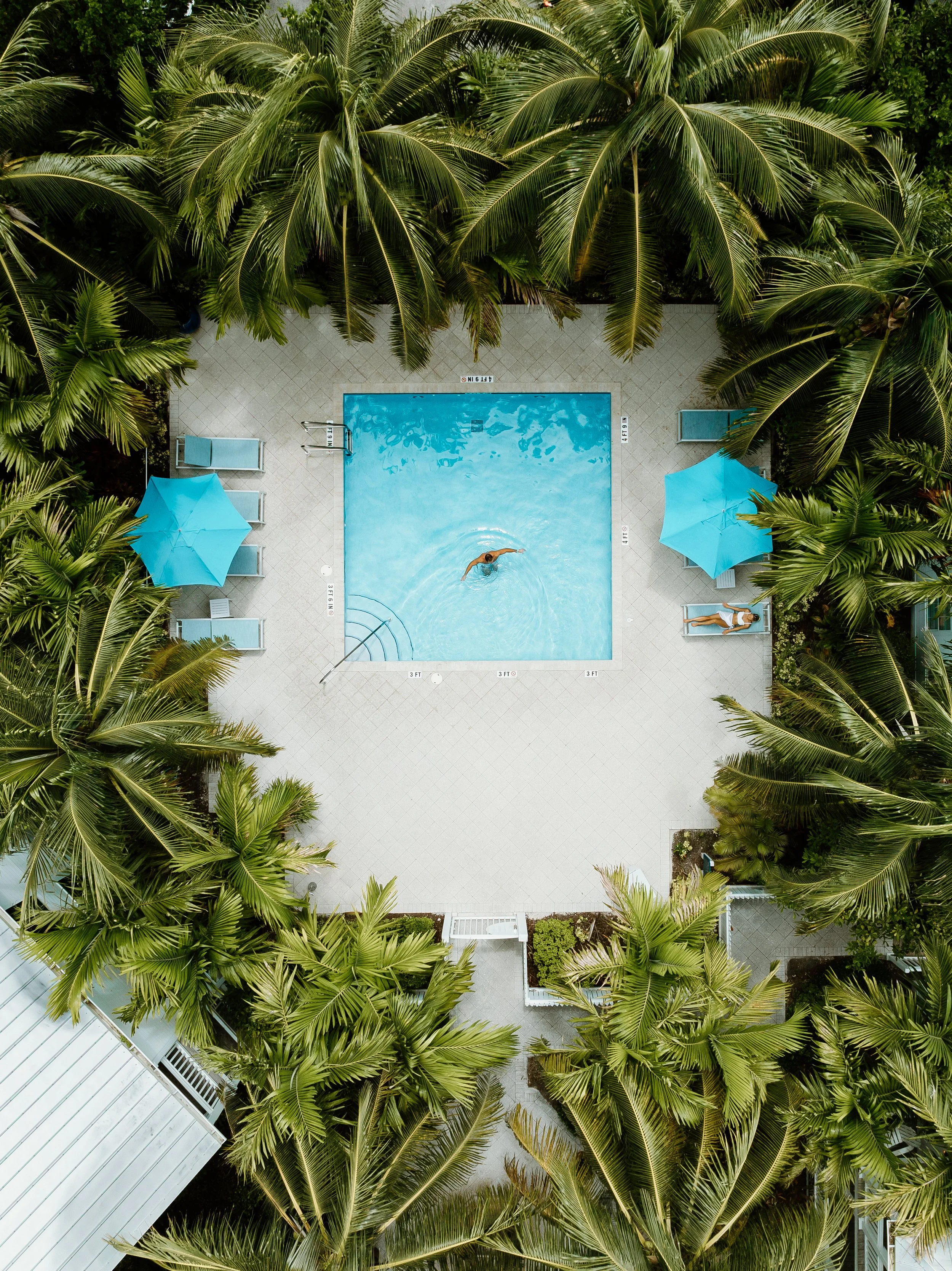 Actual Tranq Bay Drone 15.JPG