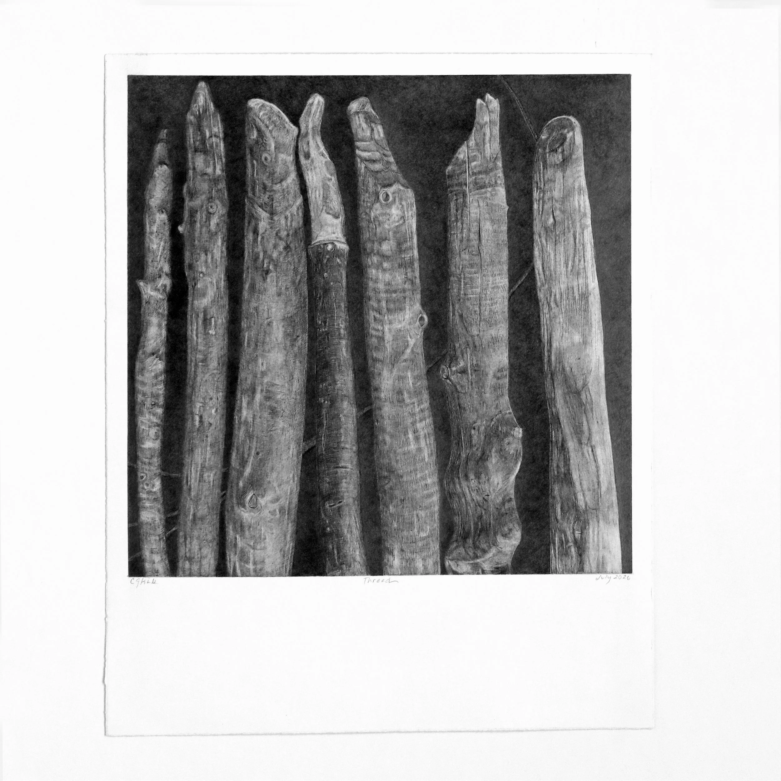 Thread graphite on paper 12" x 12" 2026