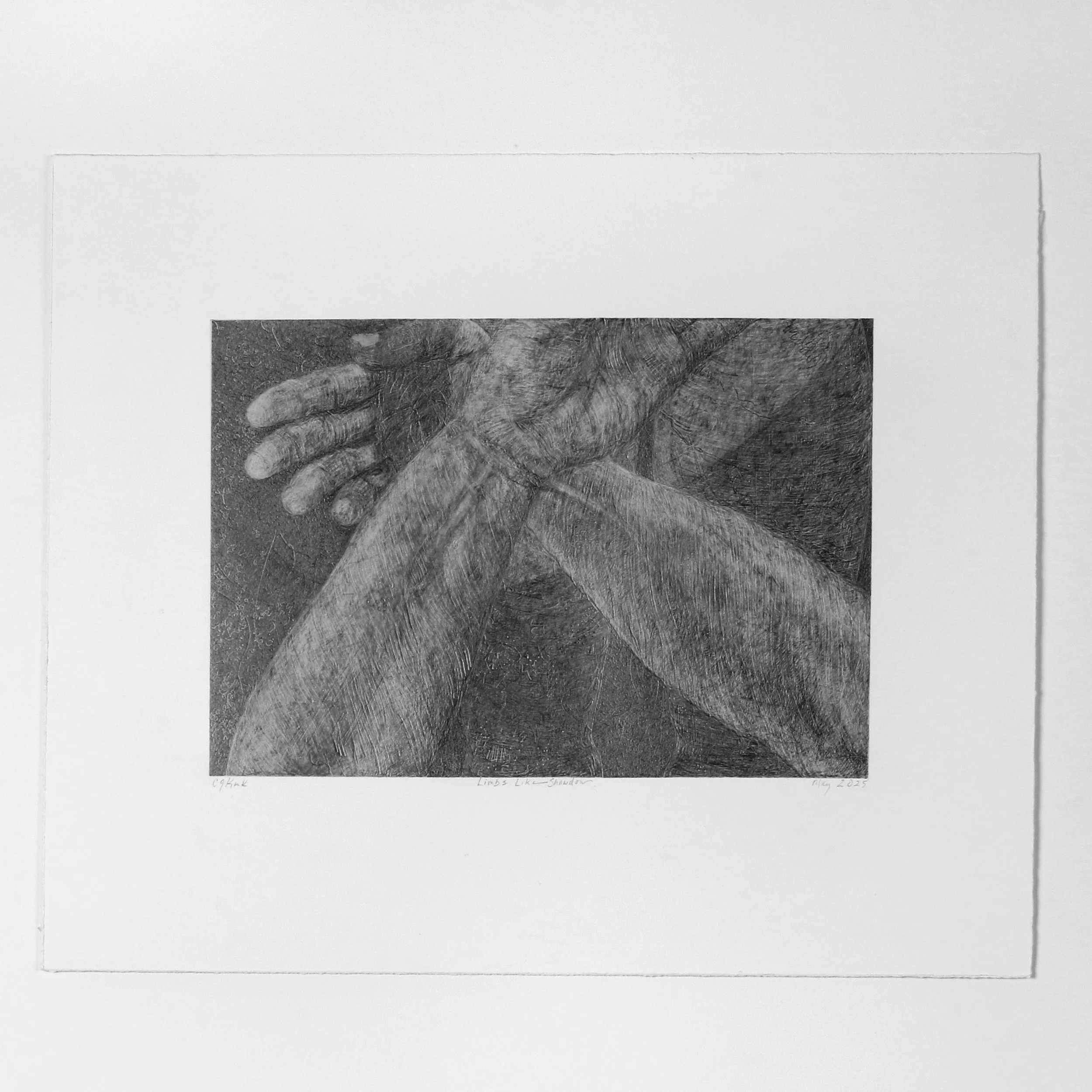 Limbs like Shadows   graphite on paper   7" x 12" 2025