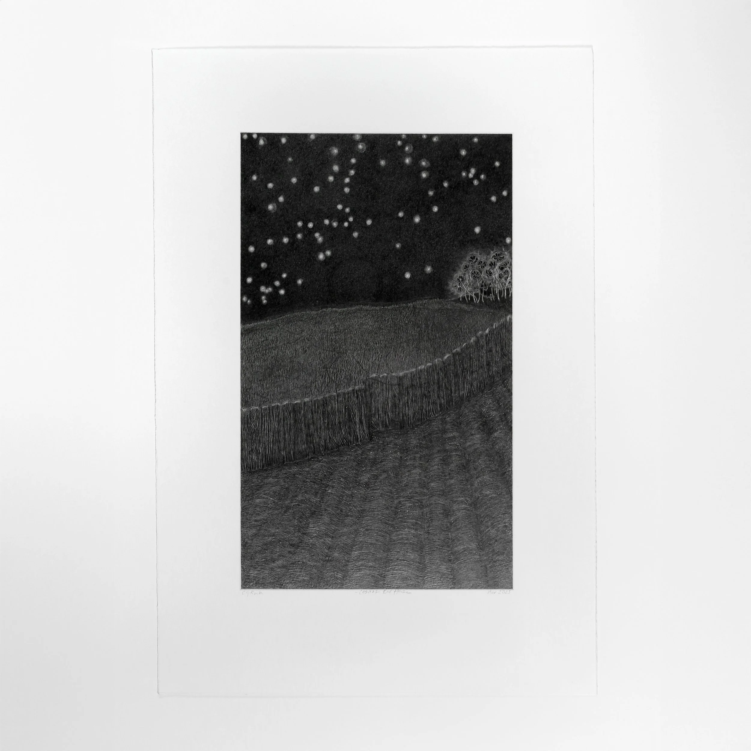 Cosmos End House
graphite on paper
13 1/2" x 8"
2025