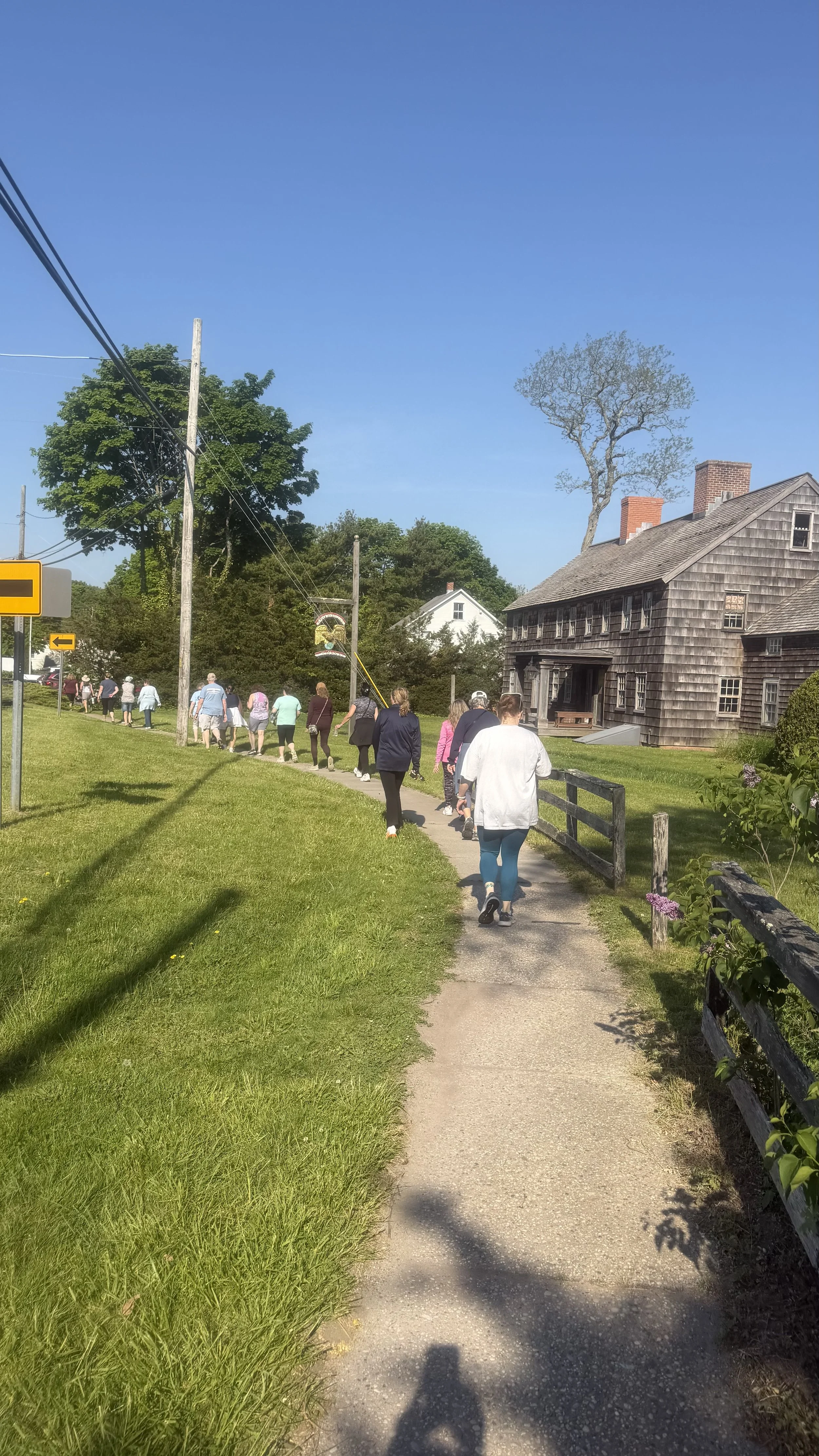 Healing Through Healthy and Accessible Choices: Walking, Forest Bathing, and Tai Chi