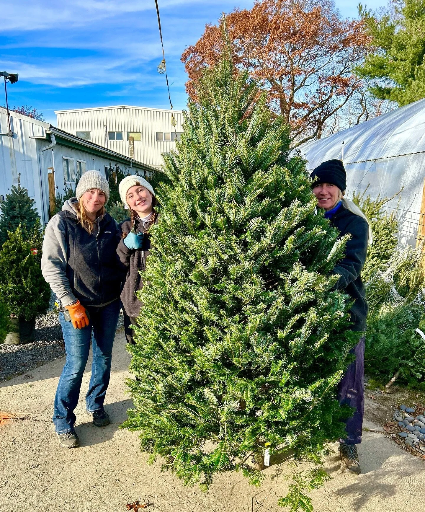 Morrisons Garden Supply Plymouth Ma Fasci Garden